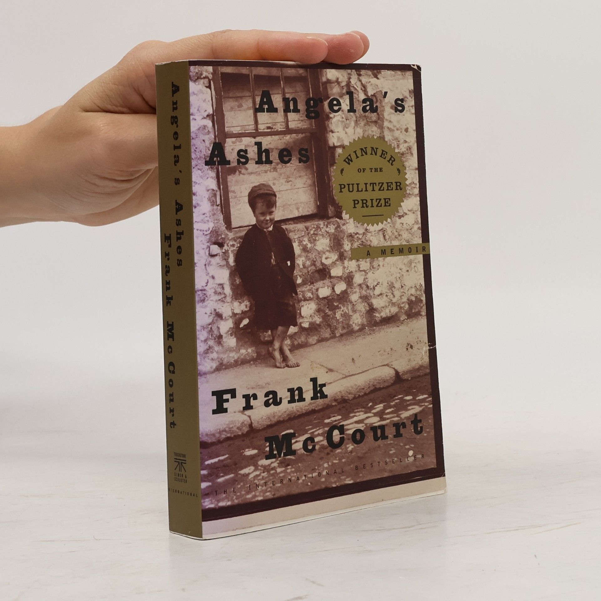 Frank McCourt Angela's Ashes