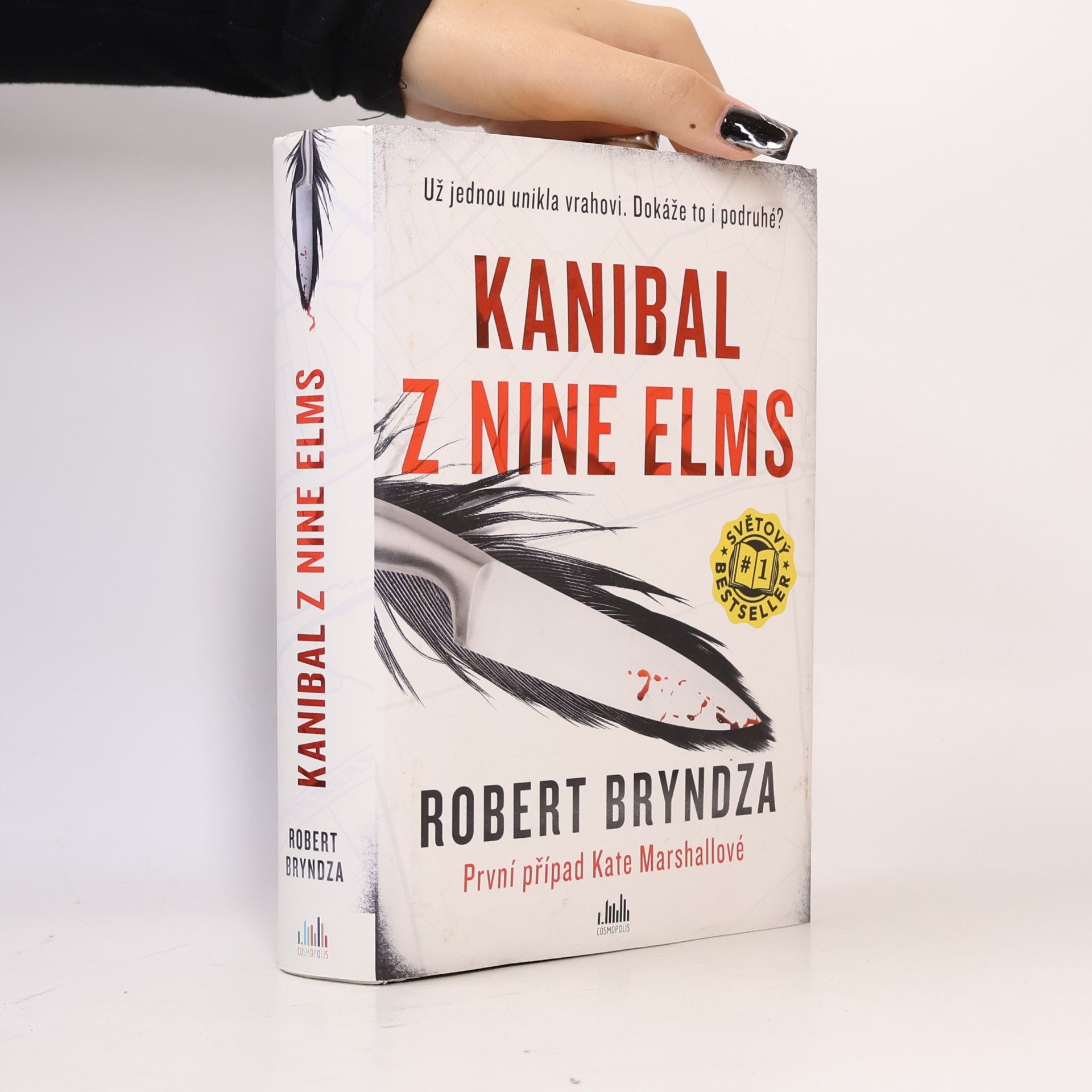 Robert Bryndza Kanibal z Nine Elms