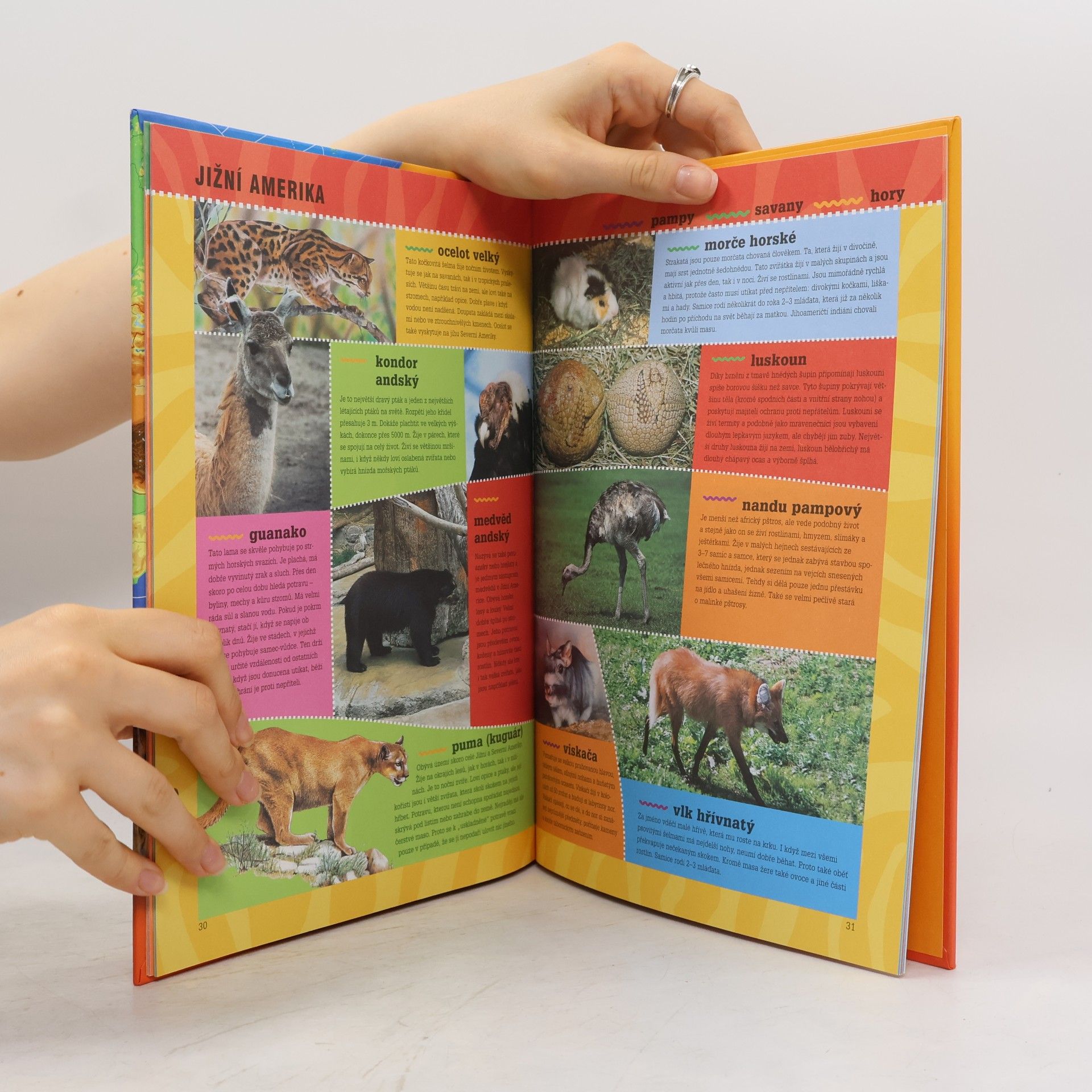 Ewa Miedzińska Atlas zvířat pro děti