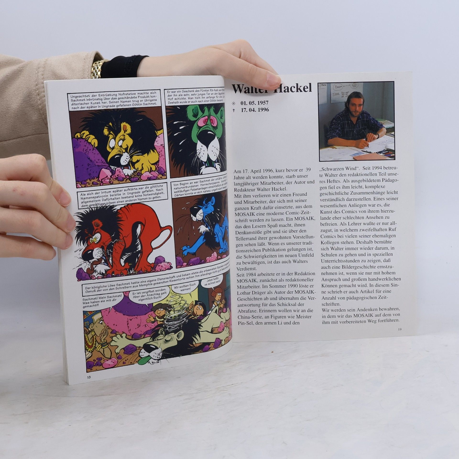 Autorenkollektiv Mosaik 246/ 1996