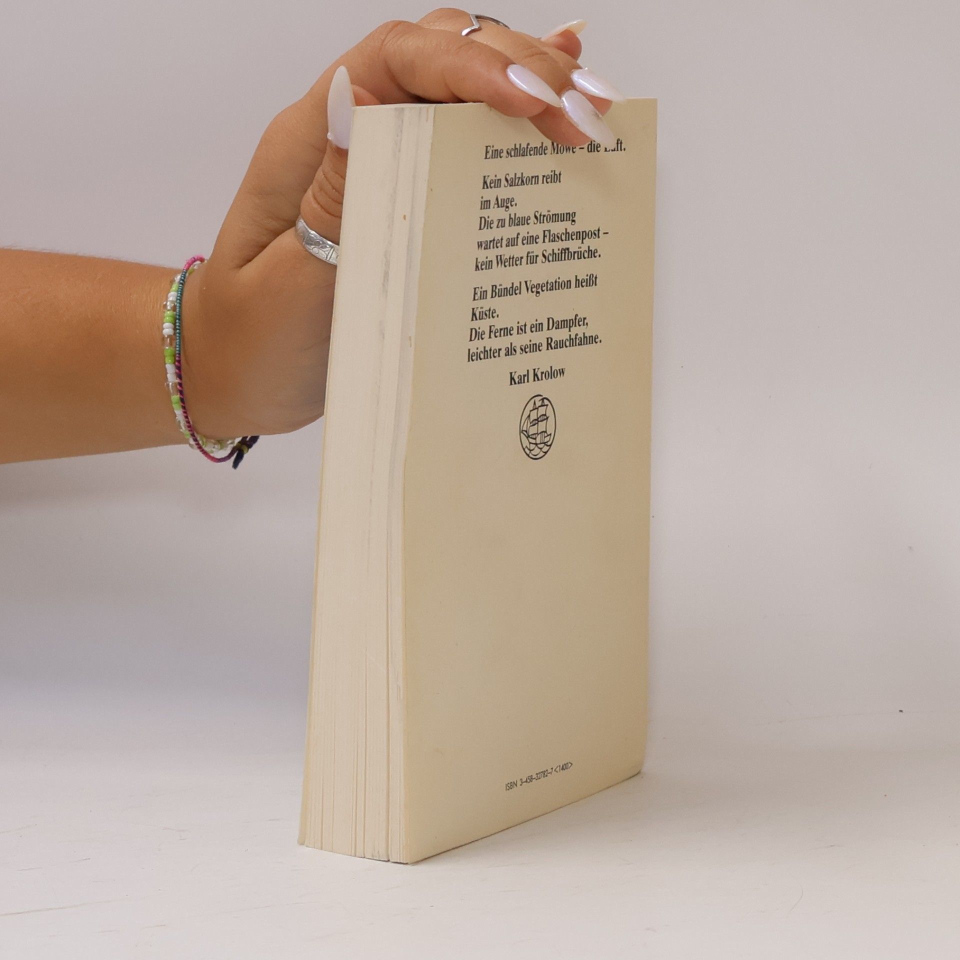 Vera Pagin Das Ferienbuch