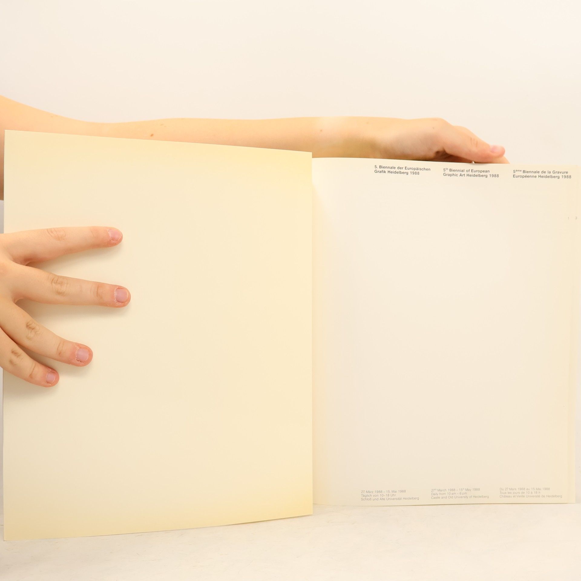 Various authors 5. Biennale der Europäischen Grafik Heidelberg 1988