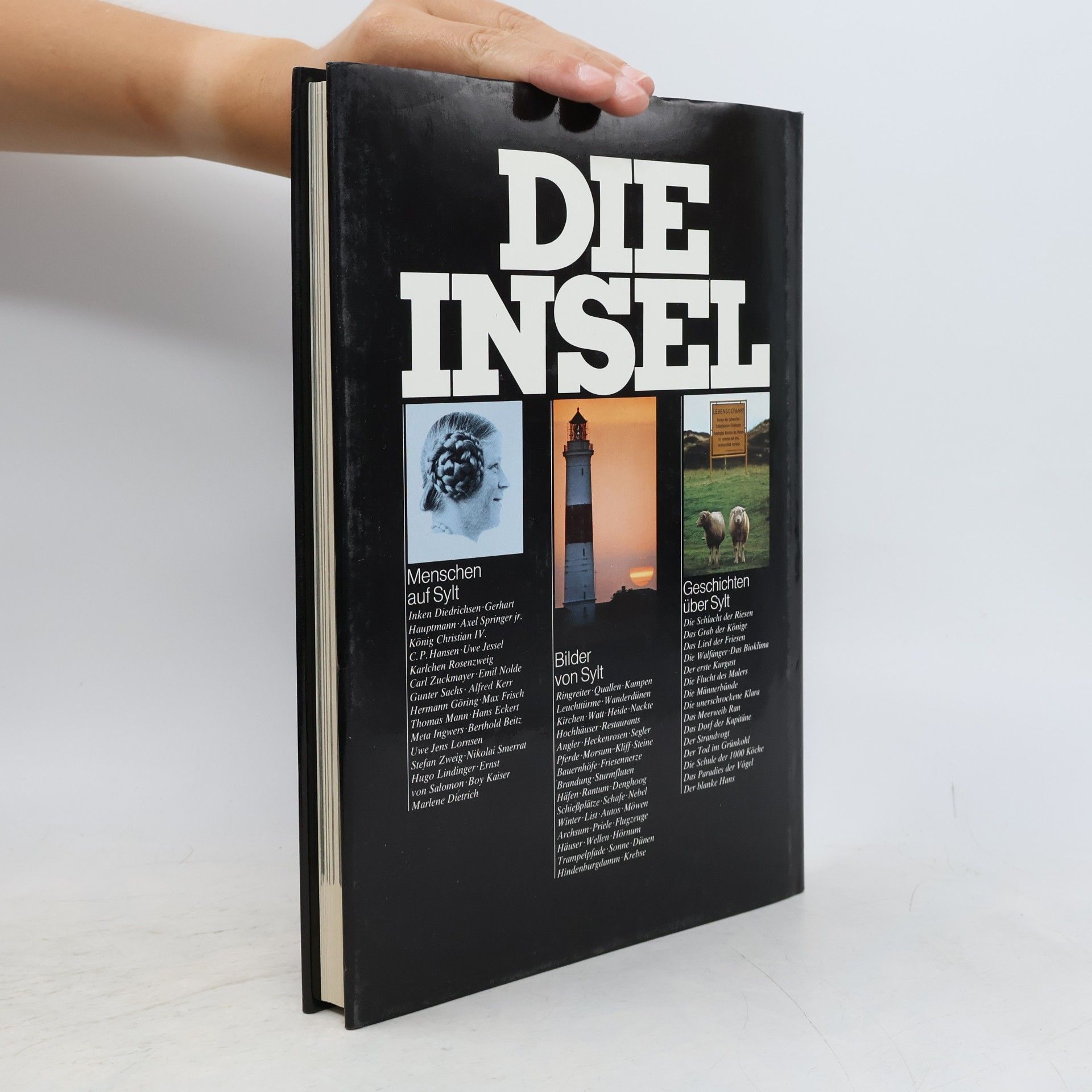 Michael Jürgs Die Insel