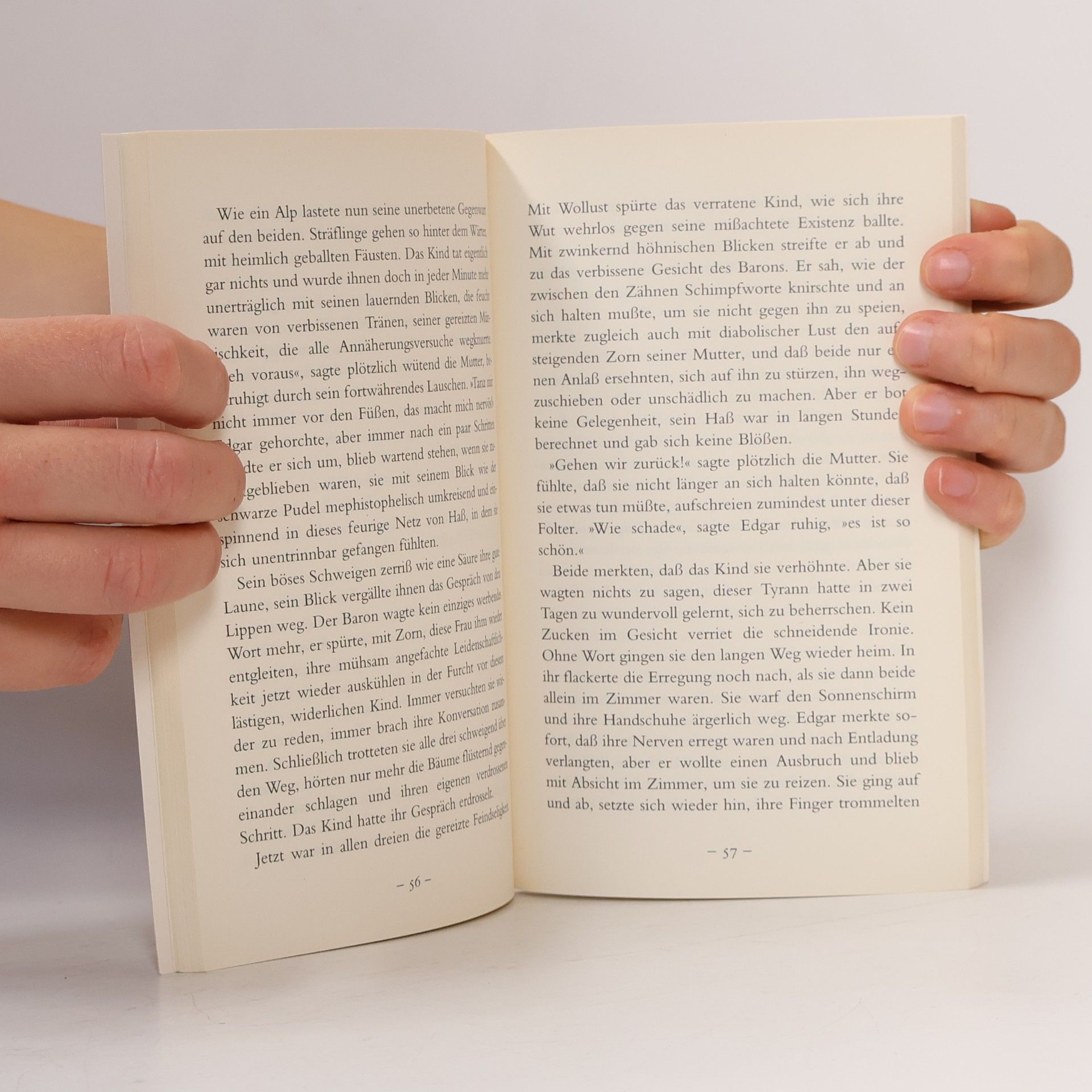 Stefan Zweig Brennendes Geheimnis