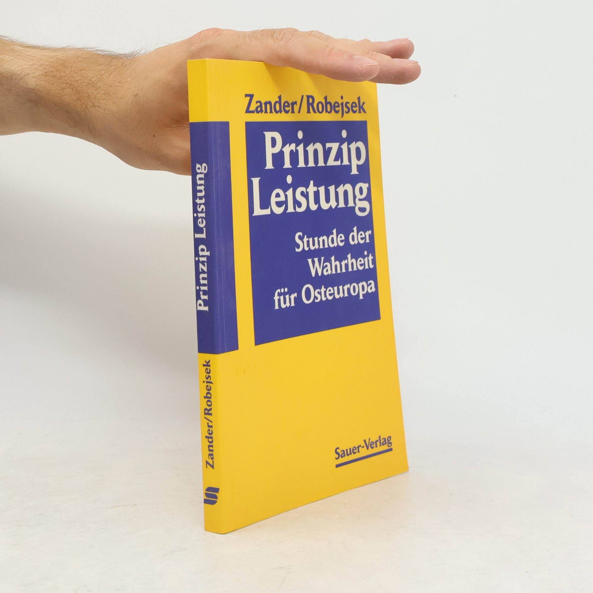 Prinzip Leistung