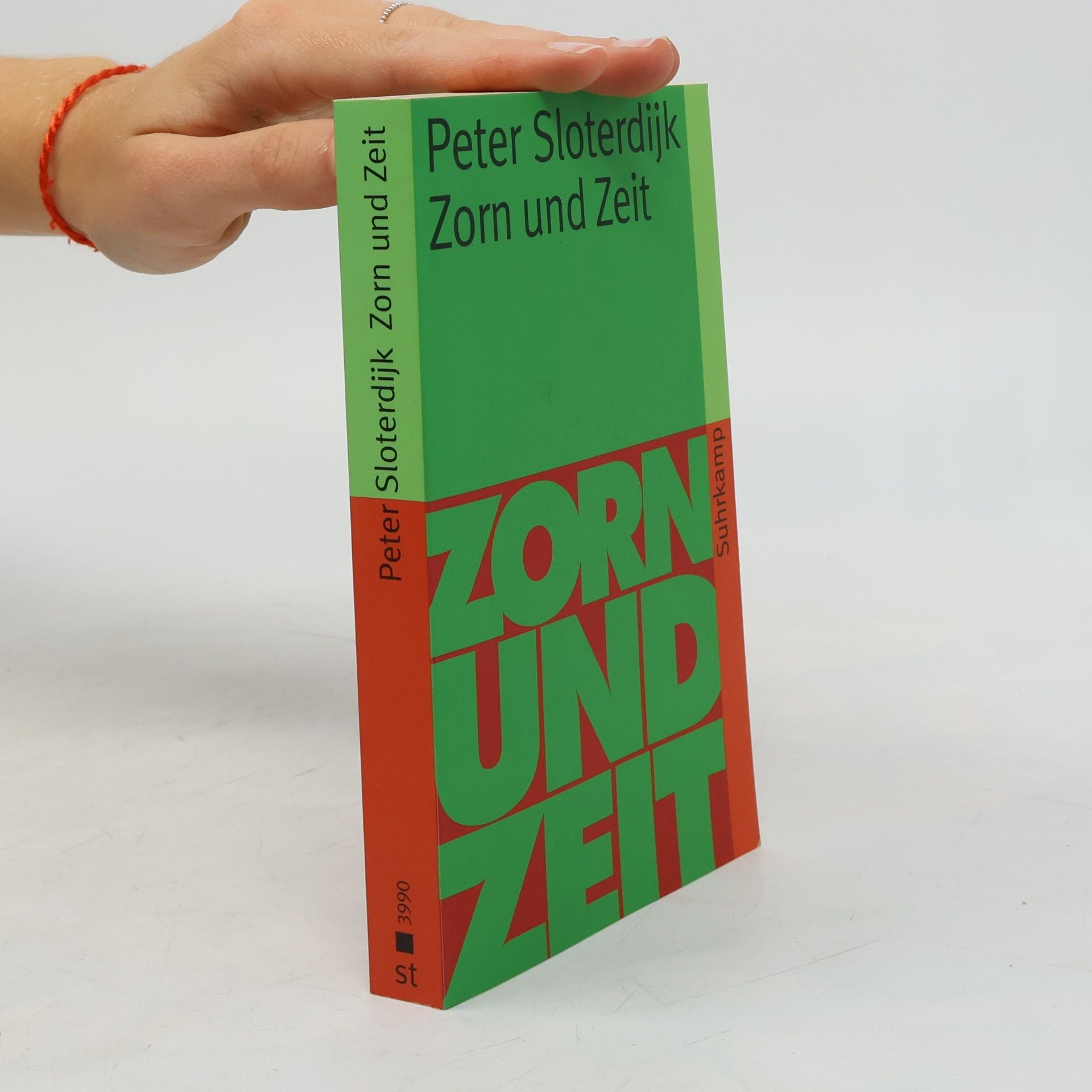Peter Sloterdijk Zorn und Zeit