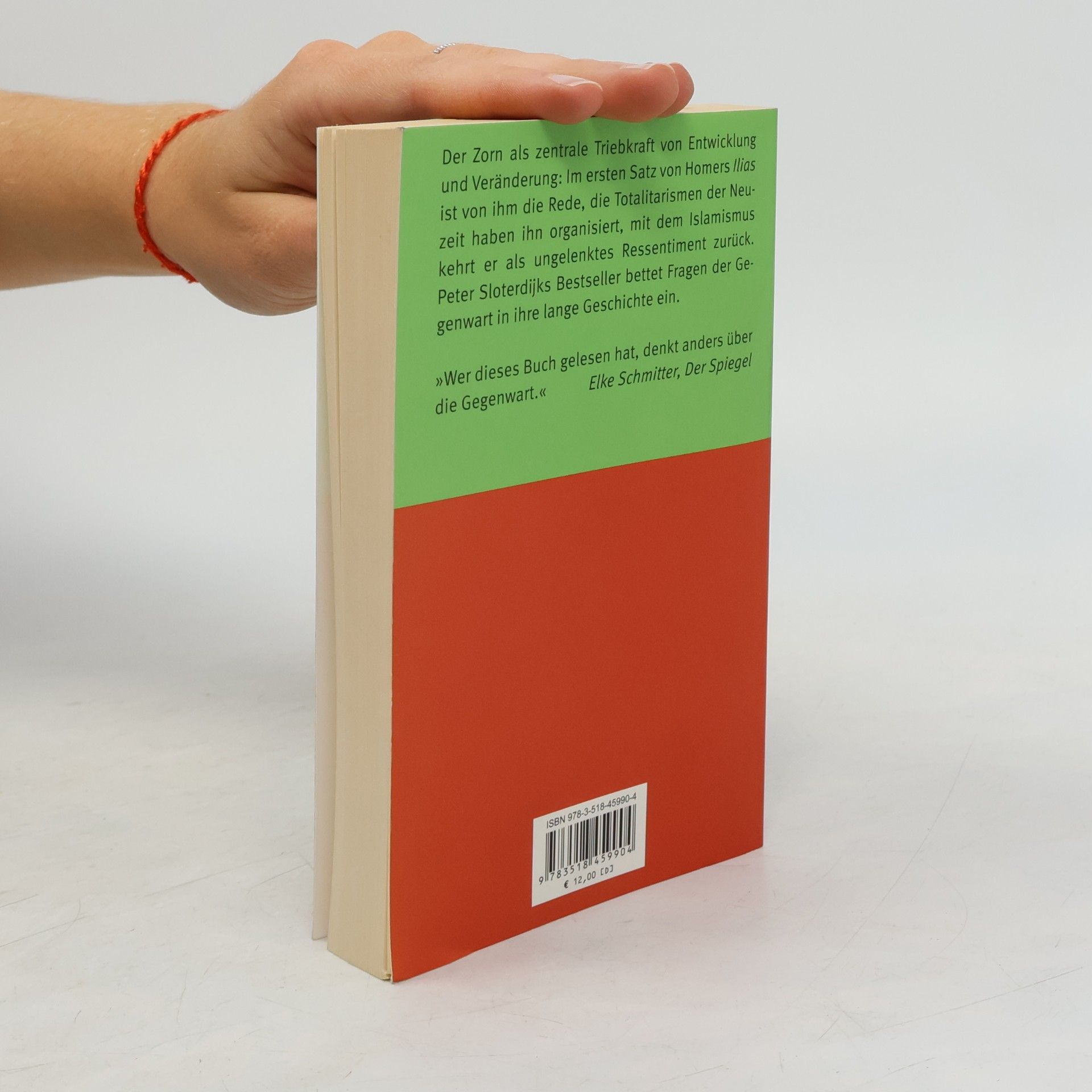 Peter Sloterdijk Zorn und Zeit