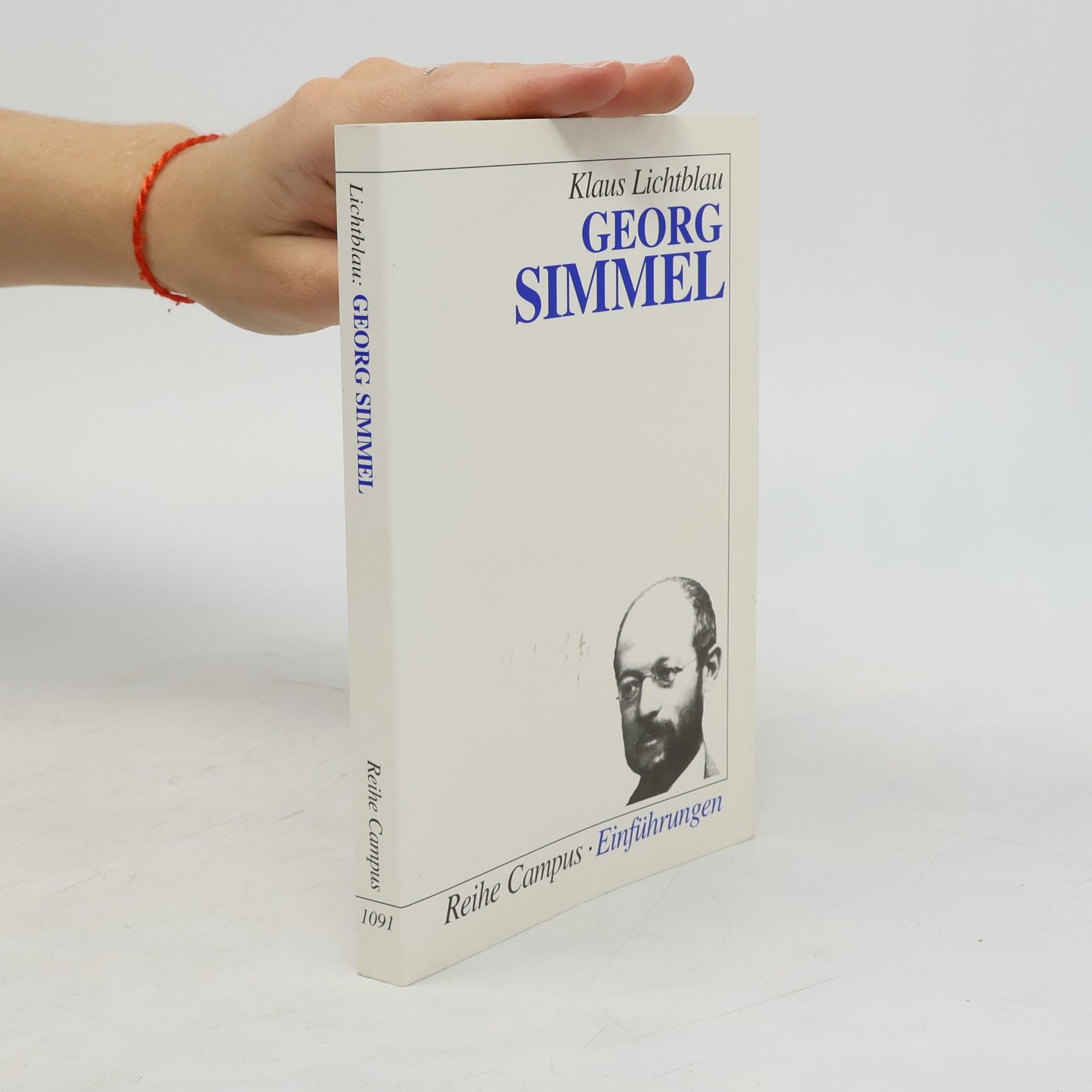 Klaus Lichtblau Reihe Campus - 1091: Georg Simmel