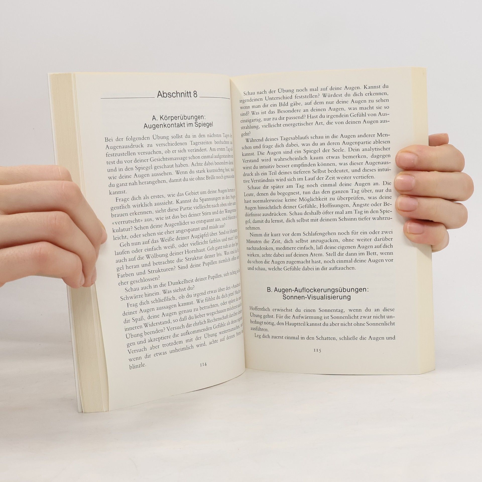 Lisette Scholl Das Augenübungsbuch