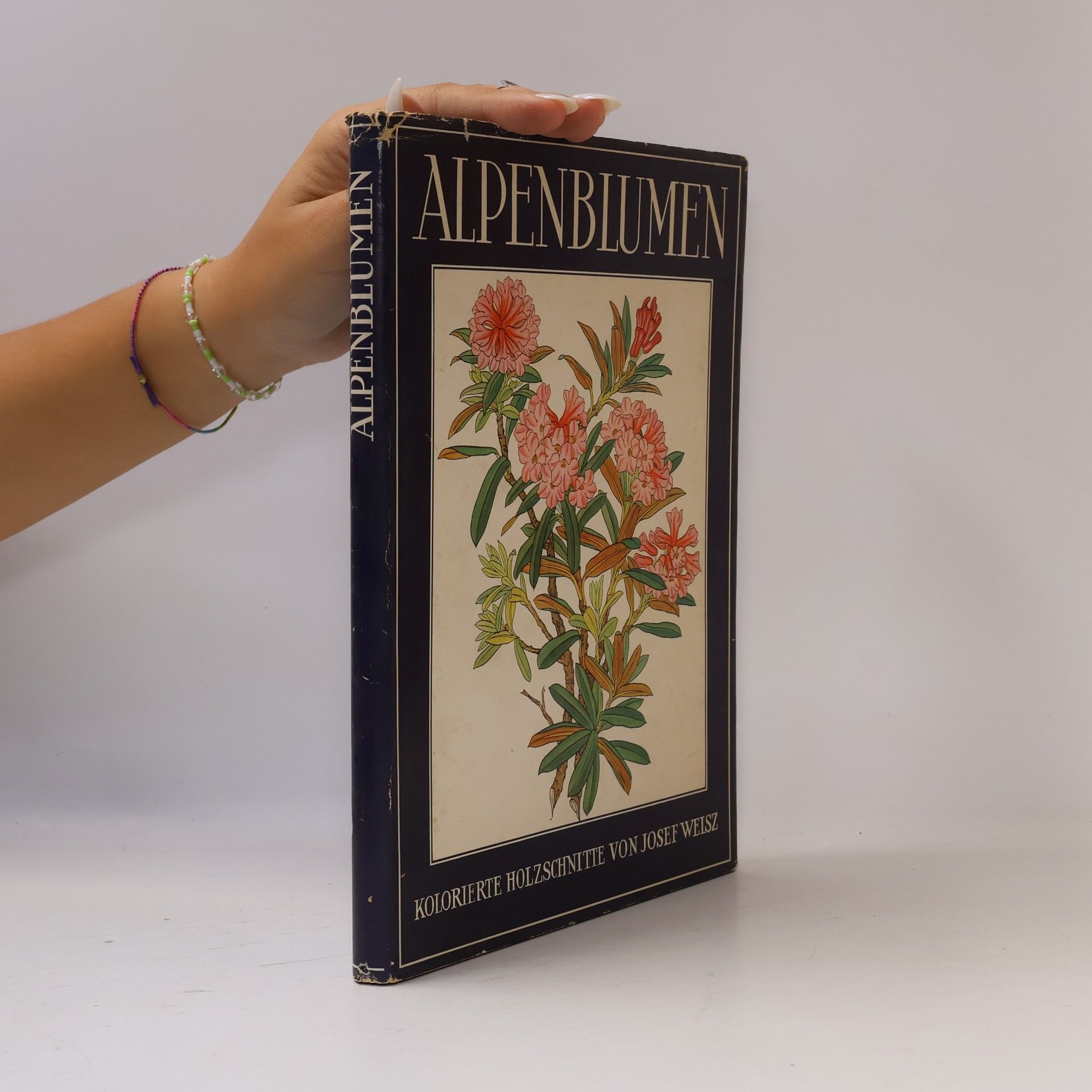 Josef Wiesz Alpenblumen