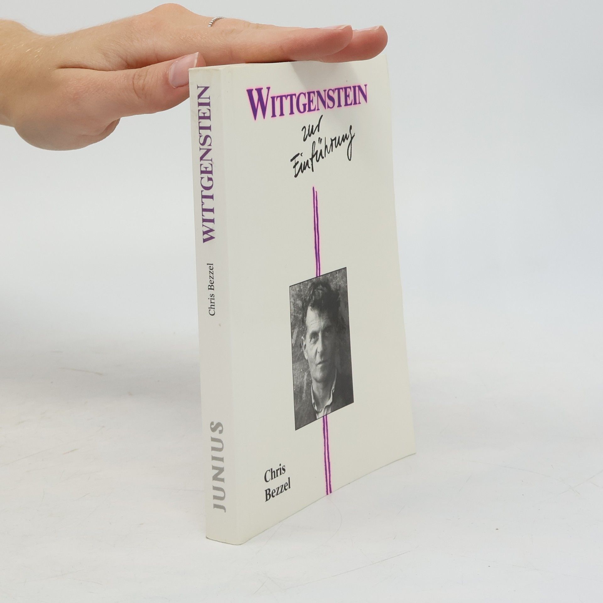 Wittgenstein zur Einführung