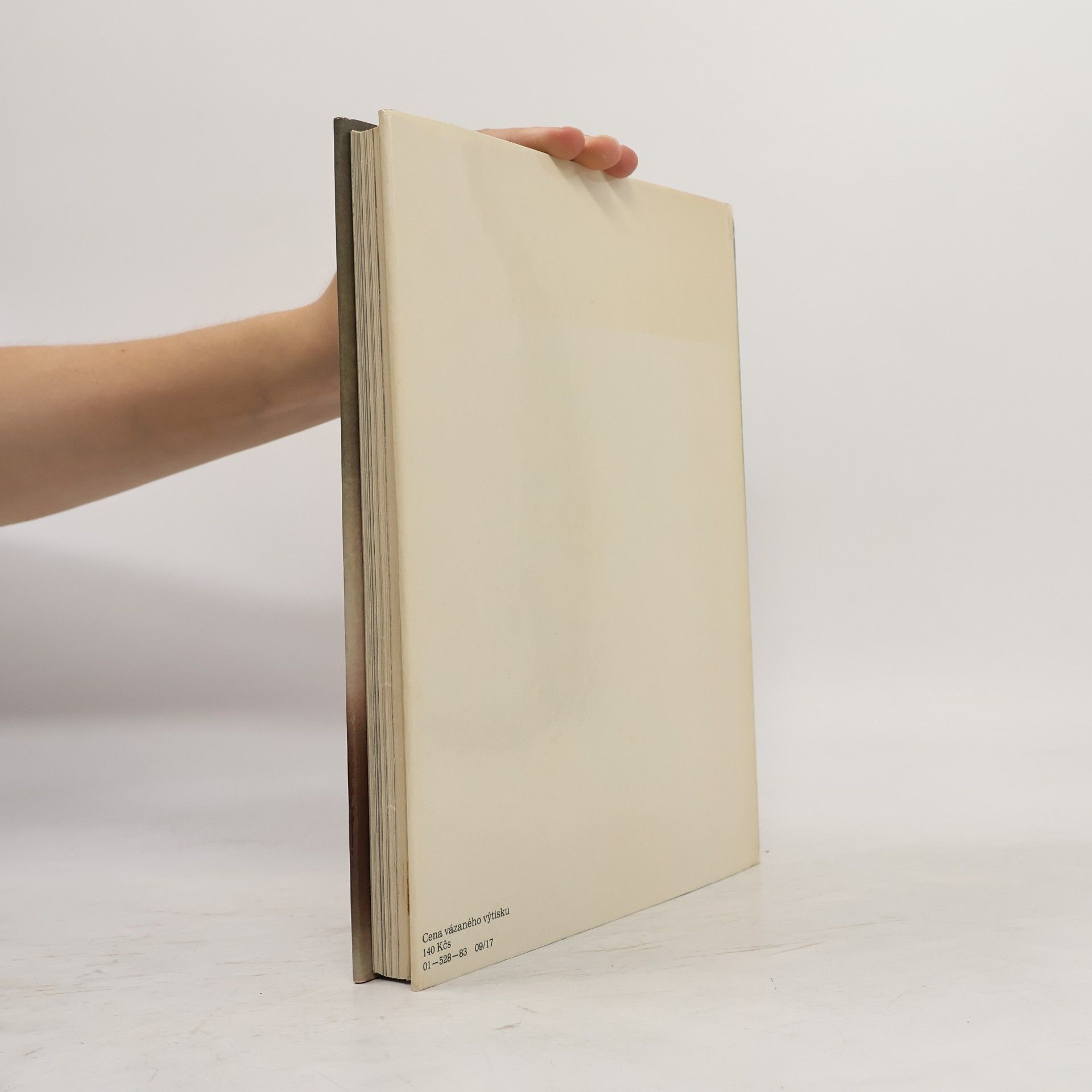 Collectif d'auteurs České užité umění 1918-1938