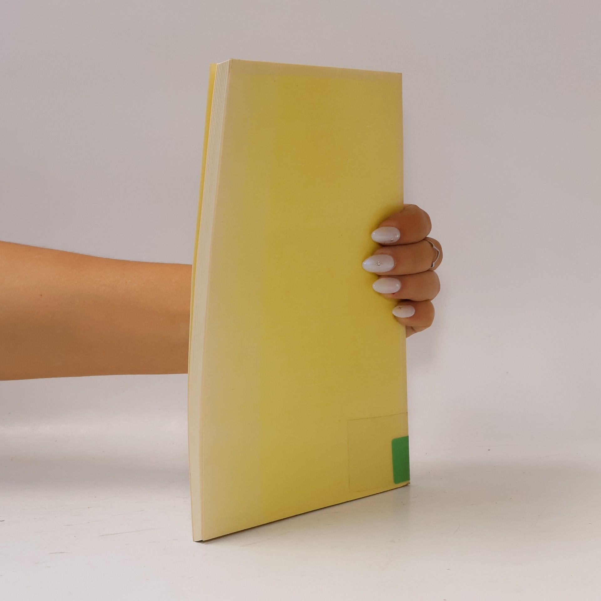Karl M. Brauer Schriften zur Betriebswirtschaftslehre des Verkehrs - 3: Leistungserstellung der Verkehrsbetriebe