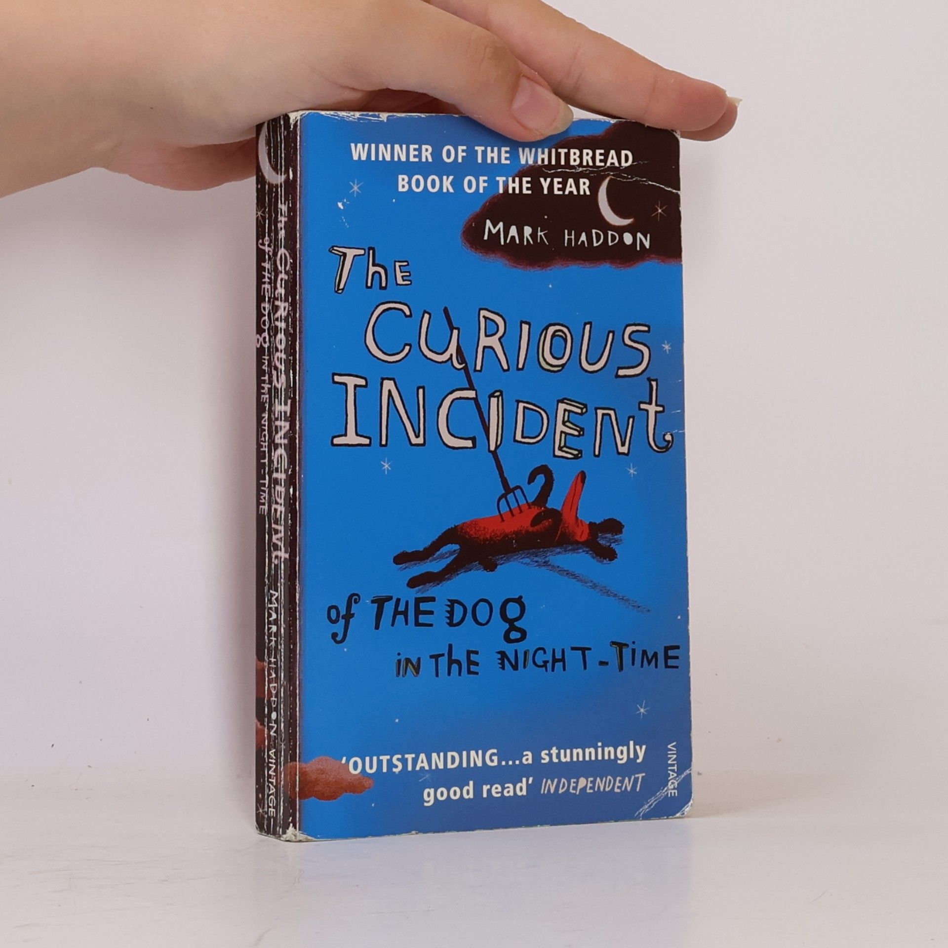 Mark Haddon The Curious Incident of The Dog in The Night-Time