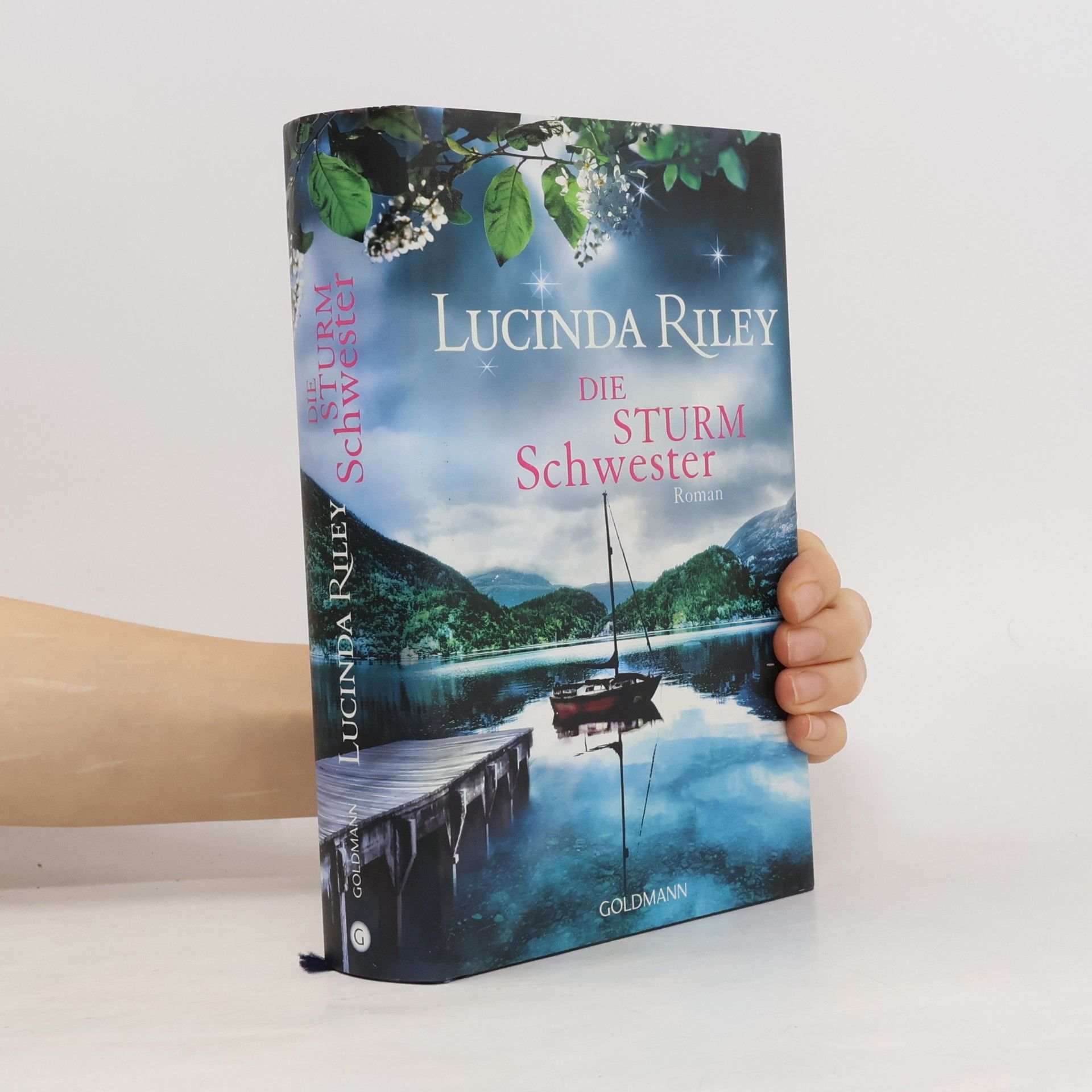 Lucinda Riley Die Sturmschwester