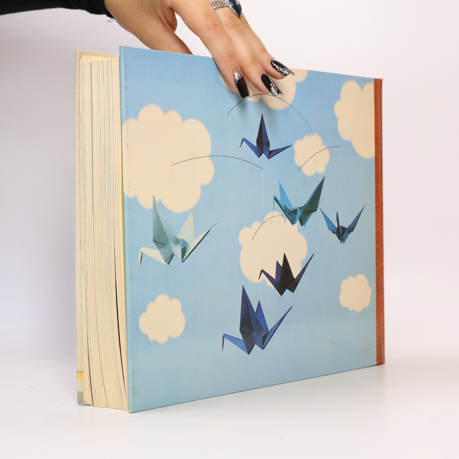 Various authors Das grosse Hobby und Freizeitbuch