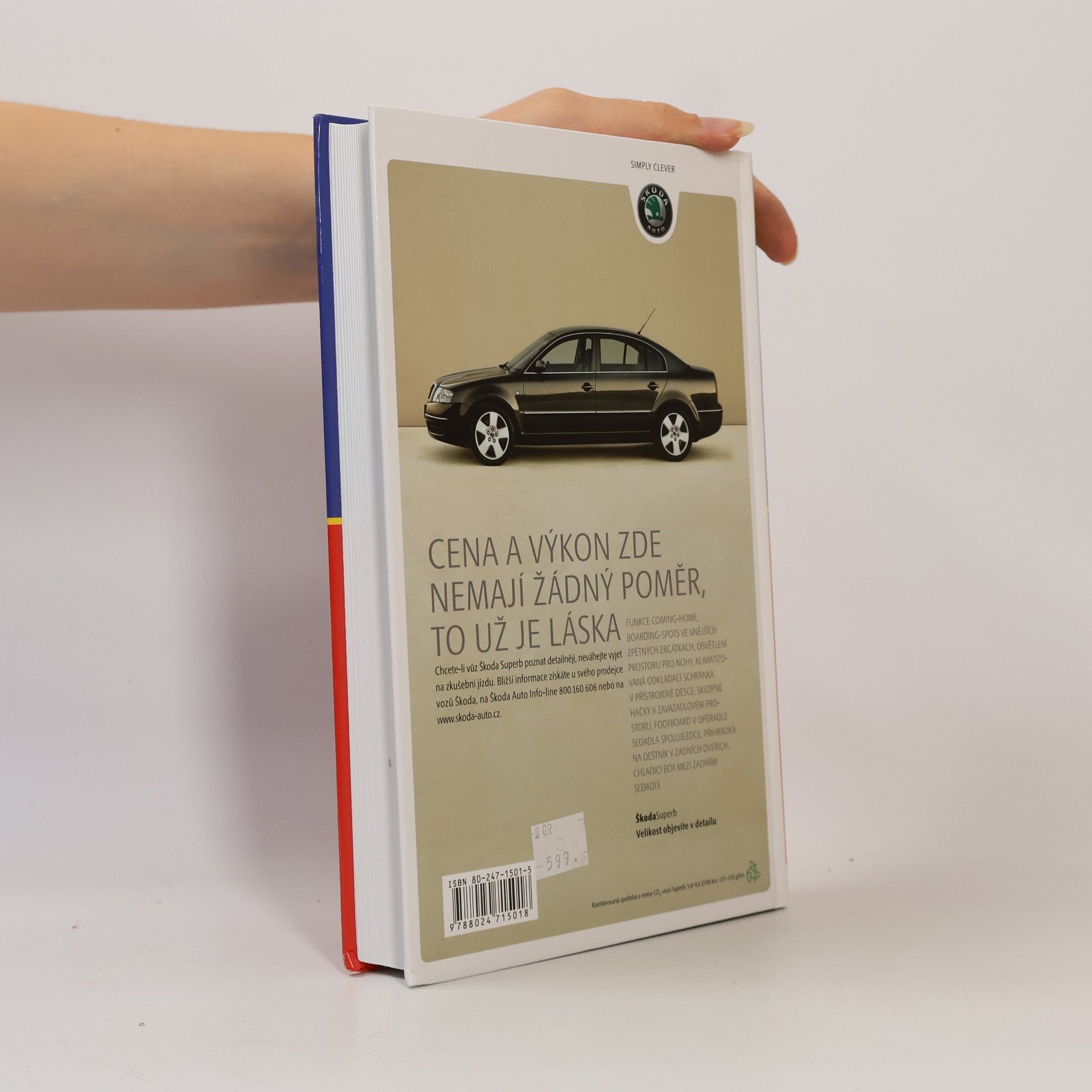Alena Svozilová Projektový management