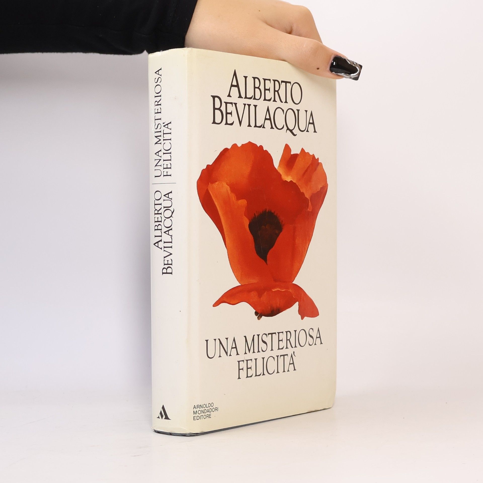 Alberto Bevilacqua Una misteriosa felicità