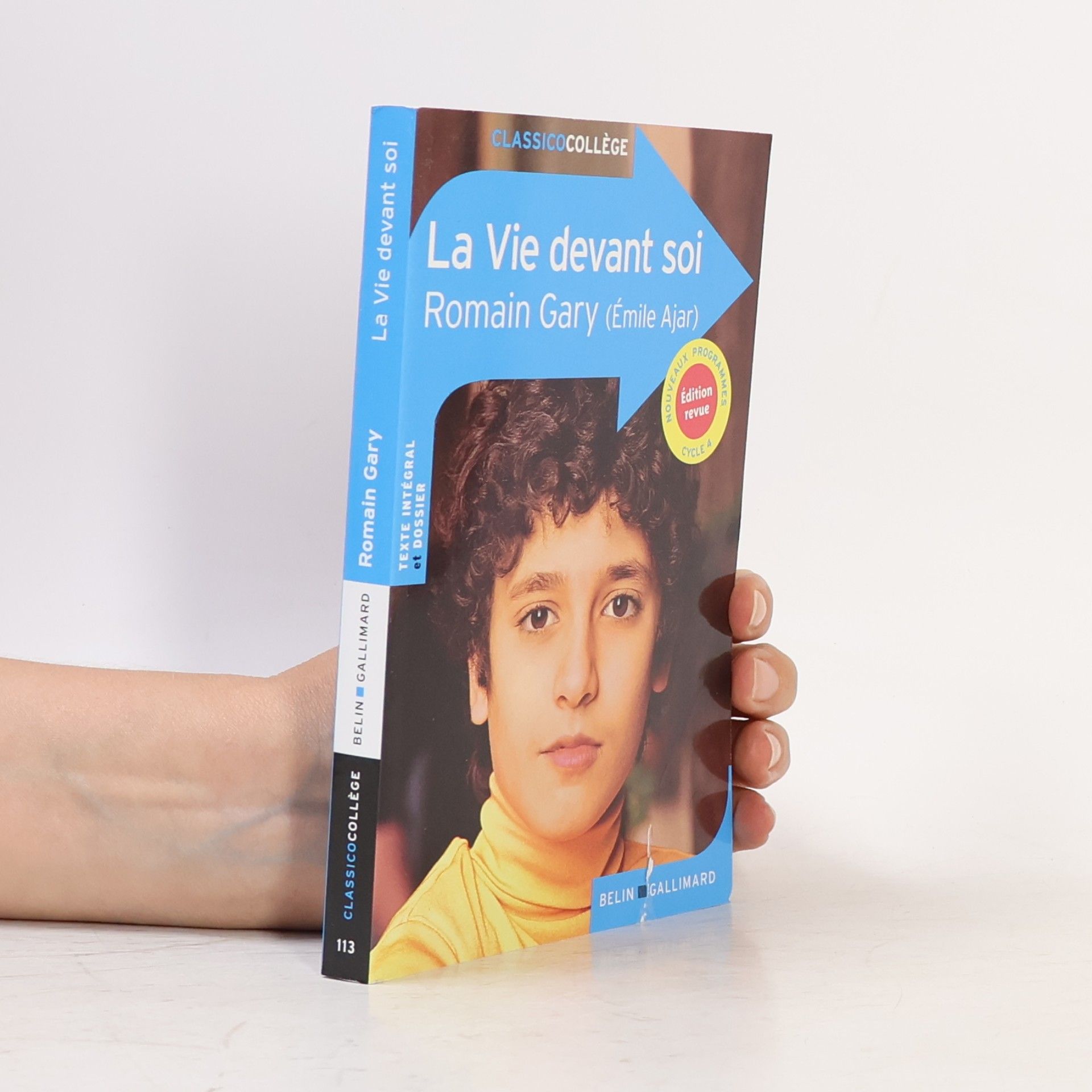 Romain Gary La vie devant soi