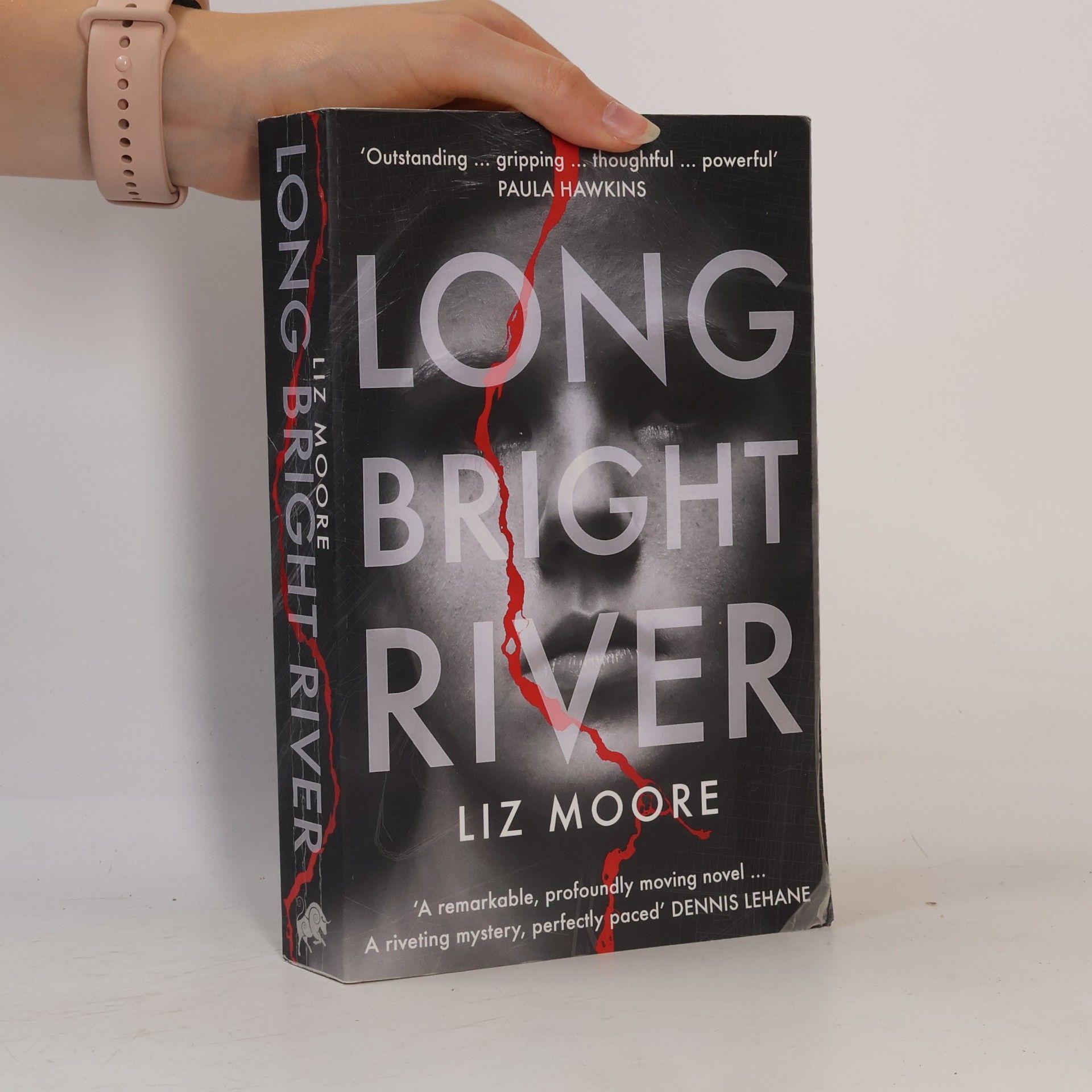 Liz Moore Long Bright River