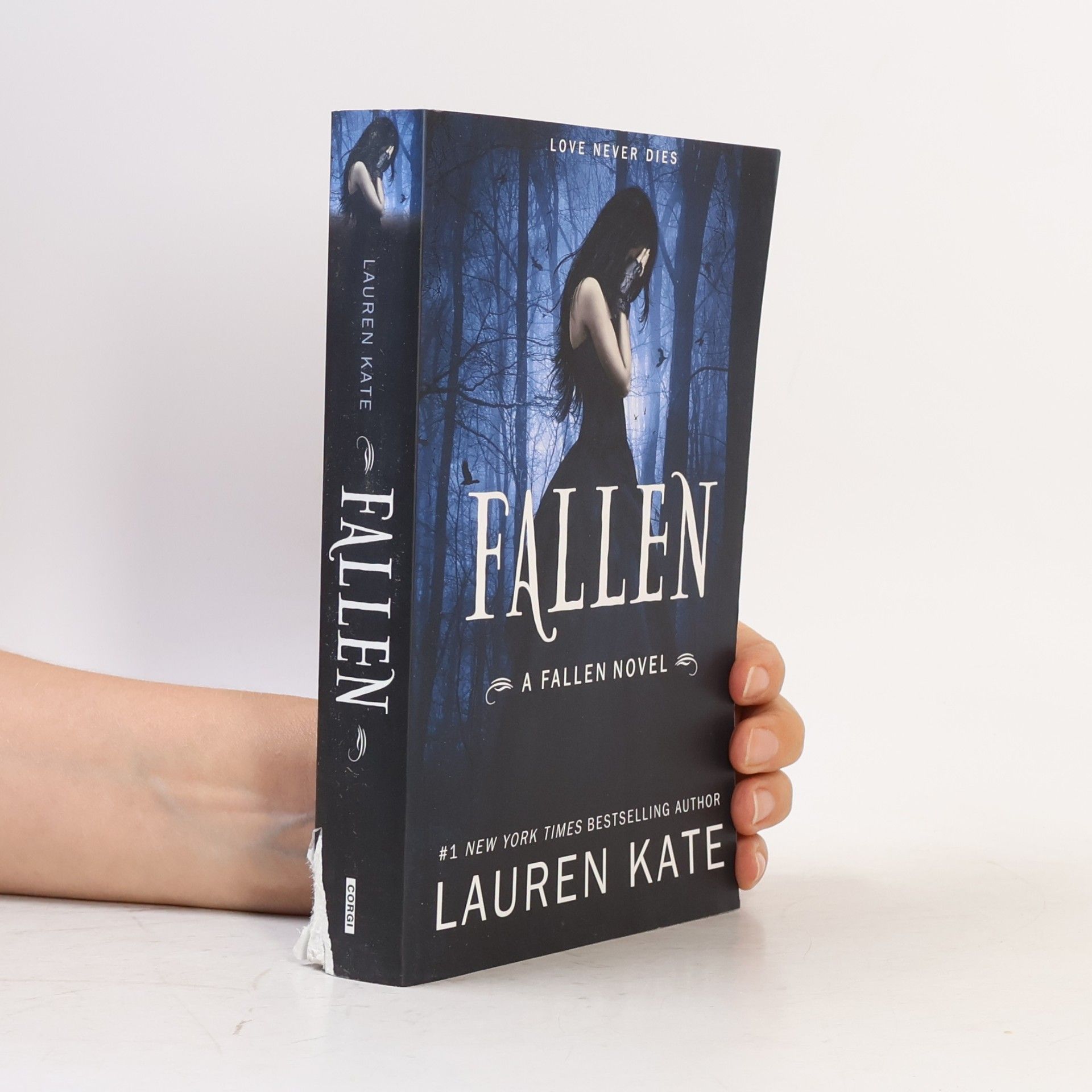 Lauren Kate Fallen