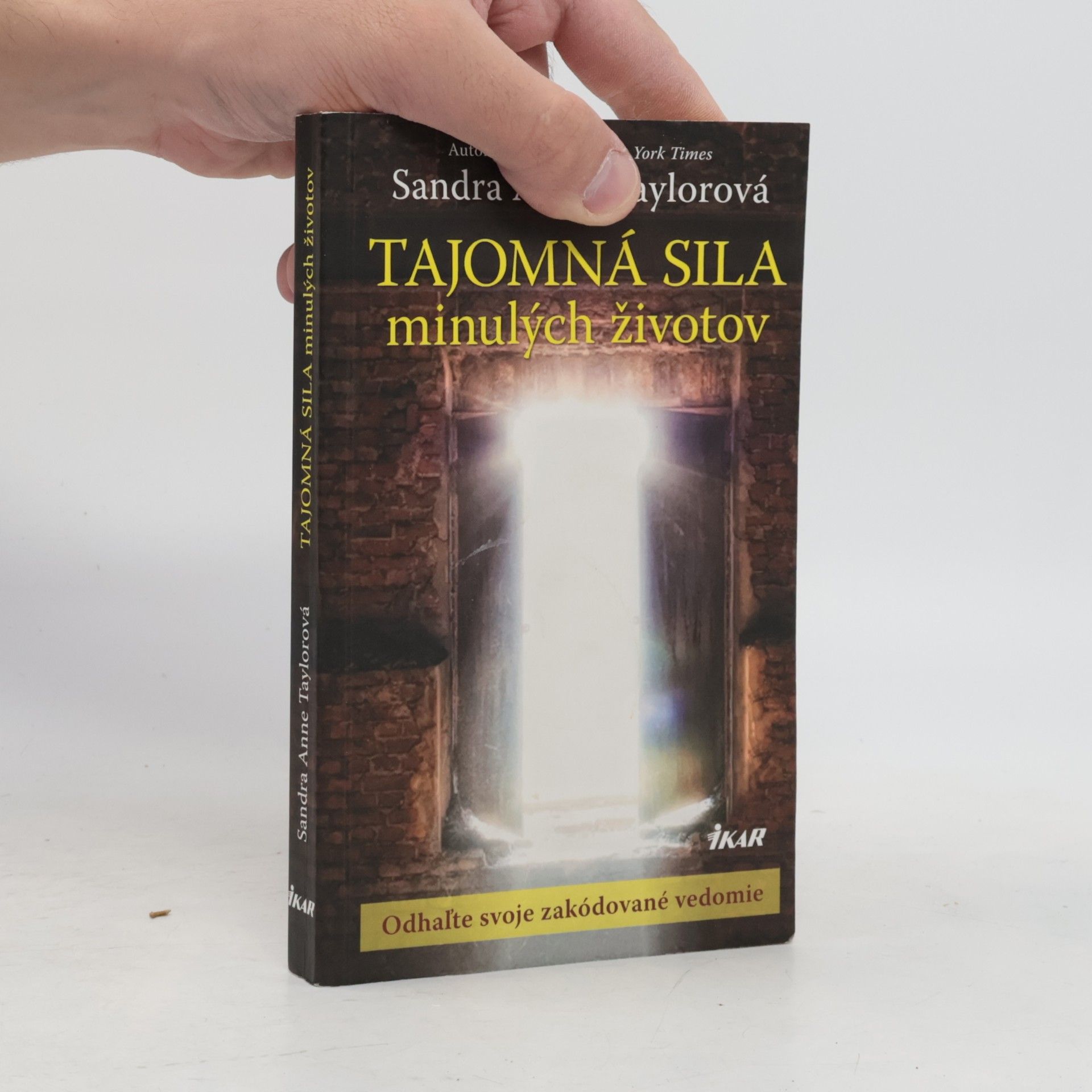 Sandra Anne Taylor Tajomná sila minulých životov