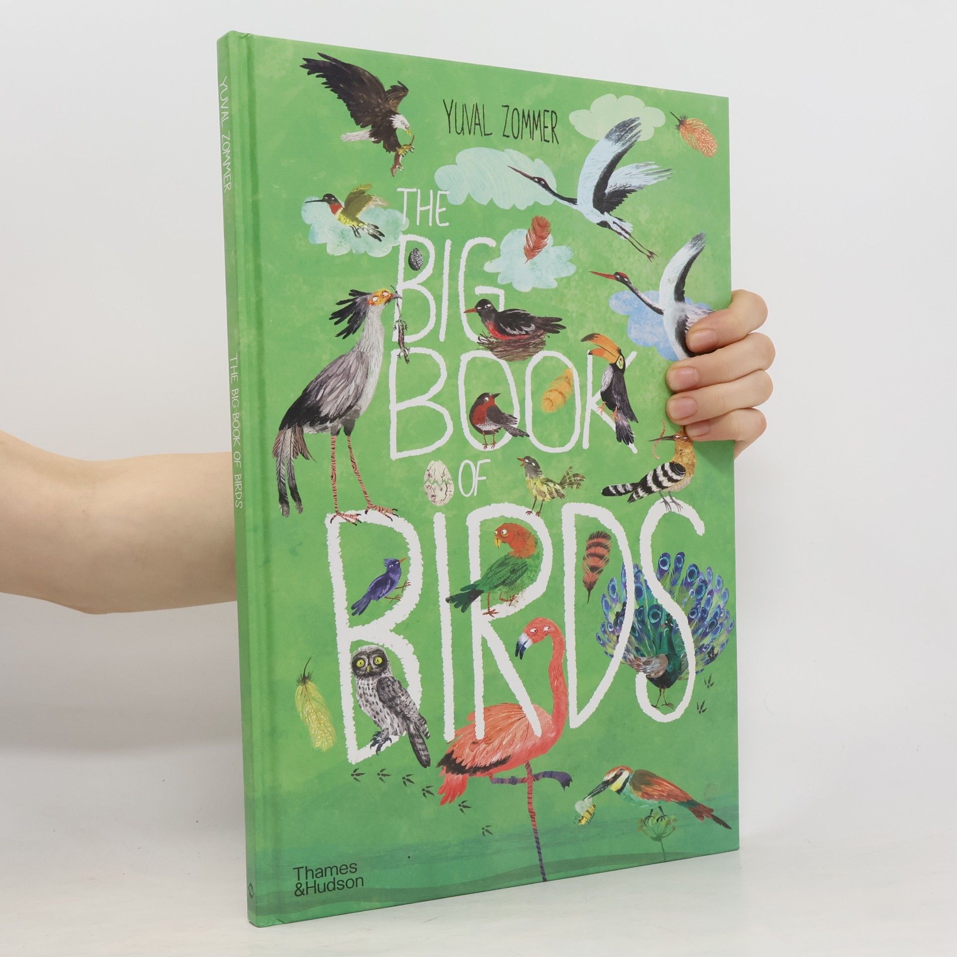 Yuval Zommer The Big Book of Birds