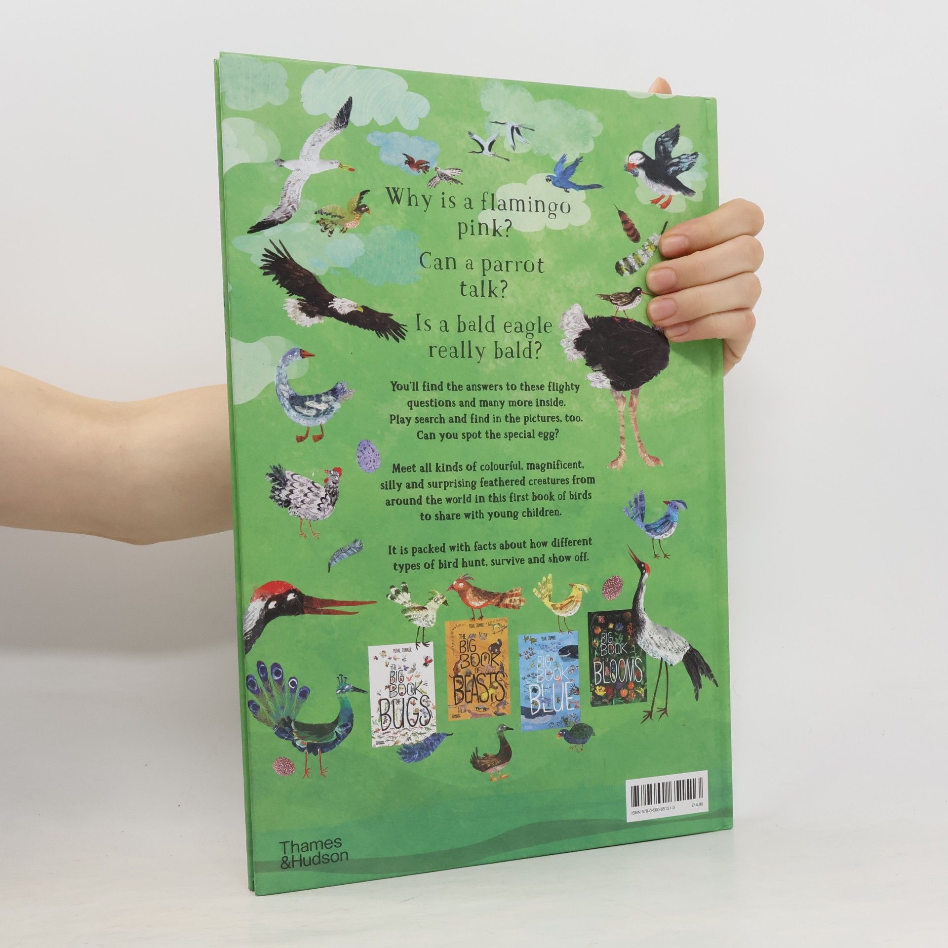 Yuval Zommer The Big Book of Birds