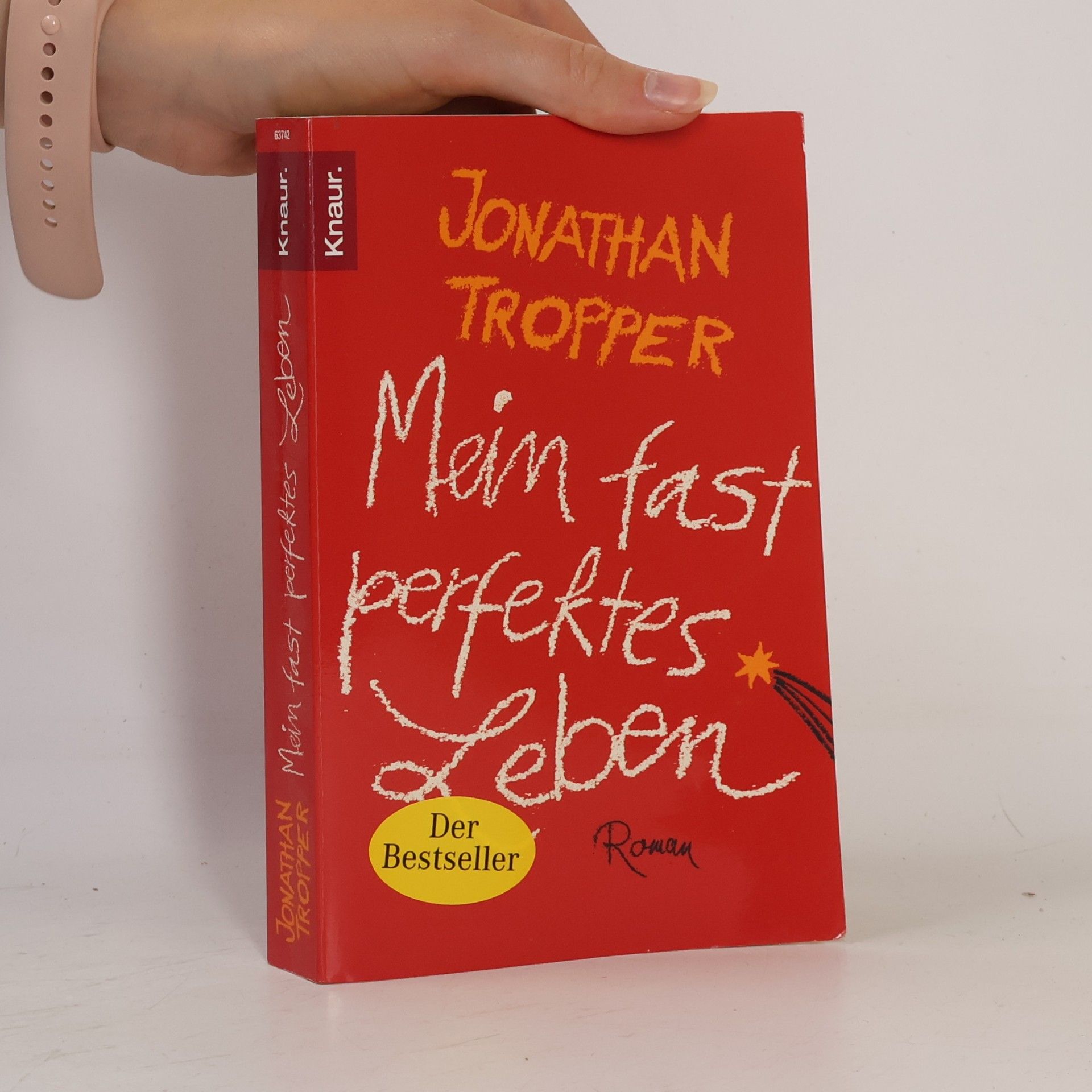 Jonathan Tropper Mein fast perfektes Leben