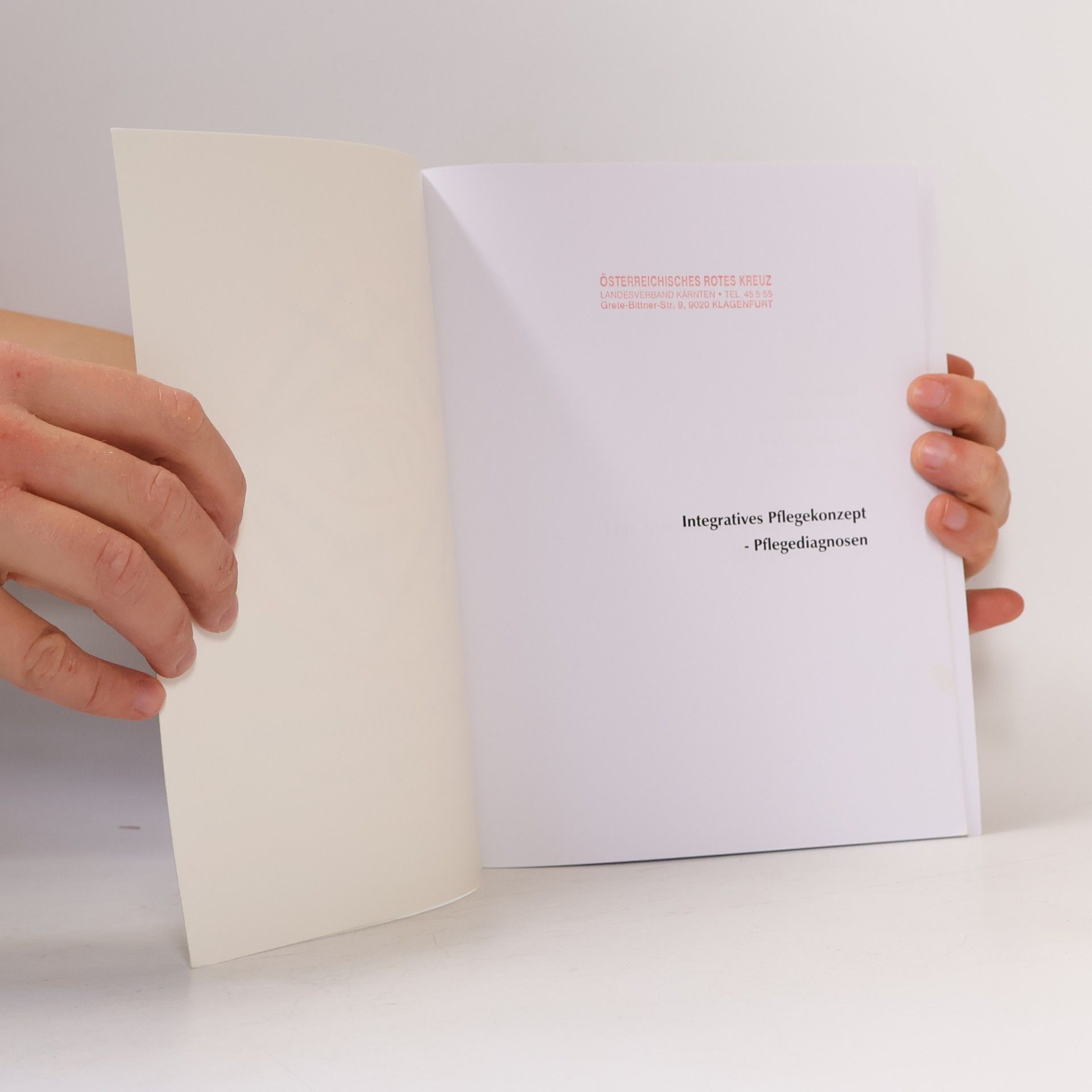 Maria Riedl Integratives Pflegekonzept - 4: Pflegediagnosen
