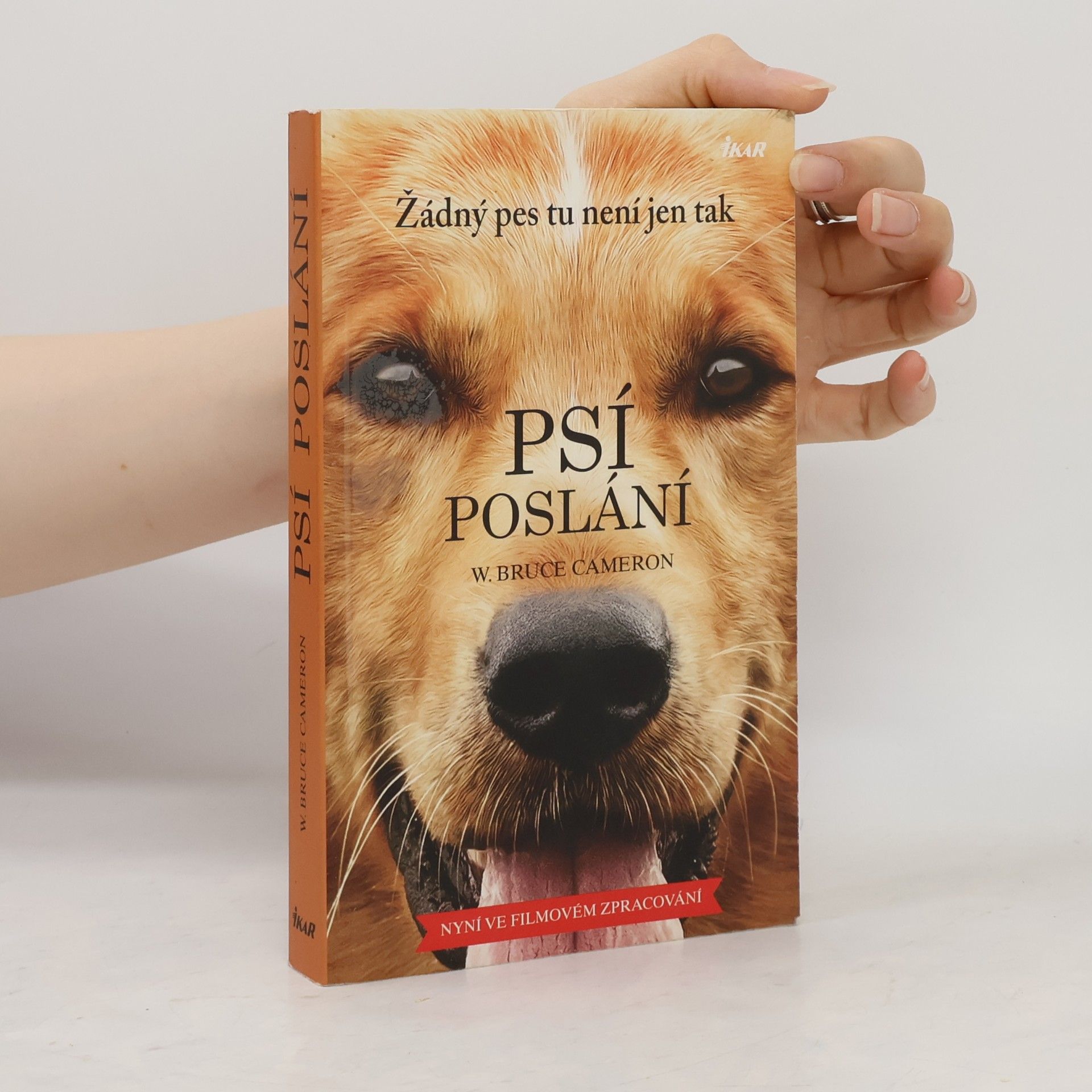 W. Bruce Cameron Psí poslání. Žádný pes tu není jen tak