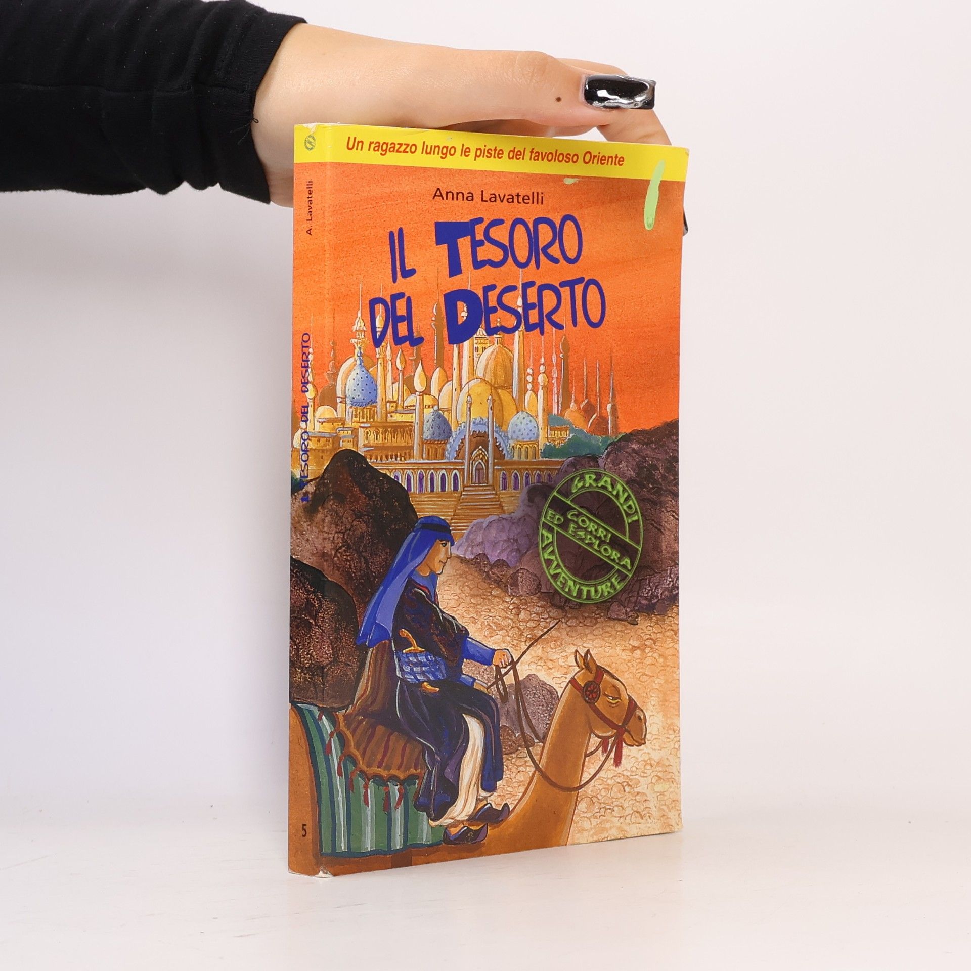 Anna Lavatelli Il tesoro del deserto. Un ragazzo lungo le piste del favoloso Oriente