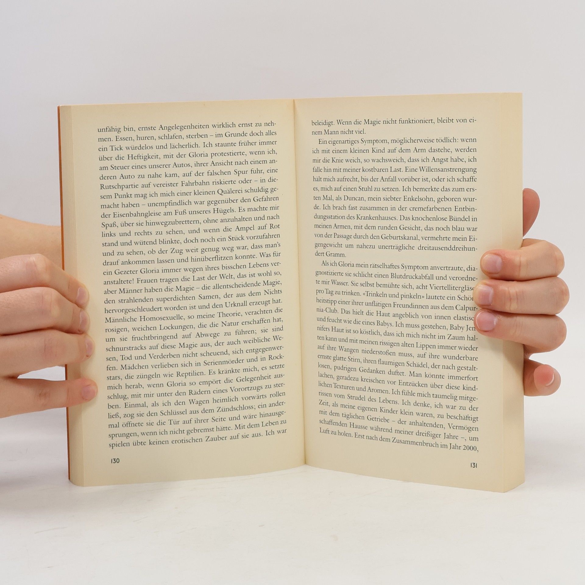 John Updike Gegen Ende der Zeit