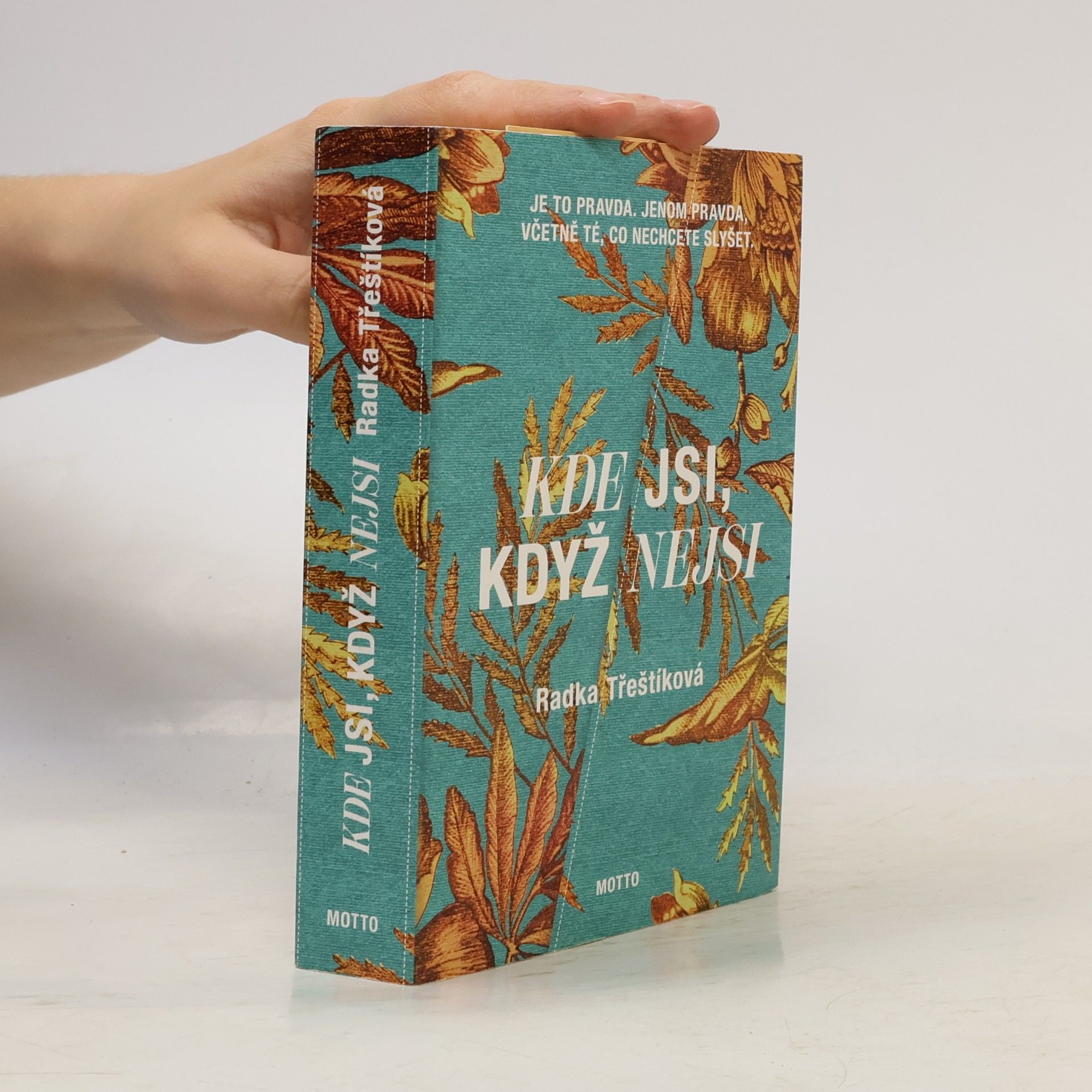 Radka Třeštíková Kde jsi, když nejsi