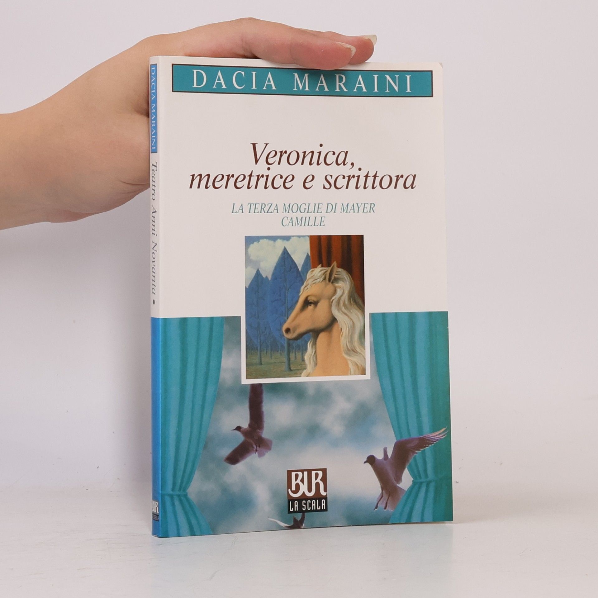 Dacia Maraini Veronica, meretrice e scrittora - La terza moglie di Mayer - Camille