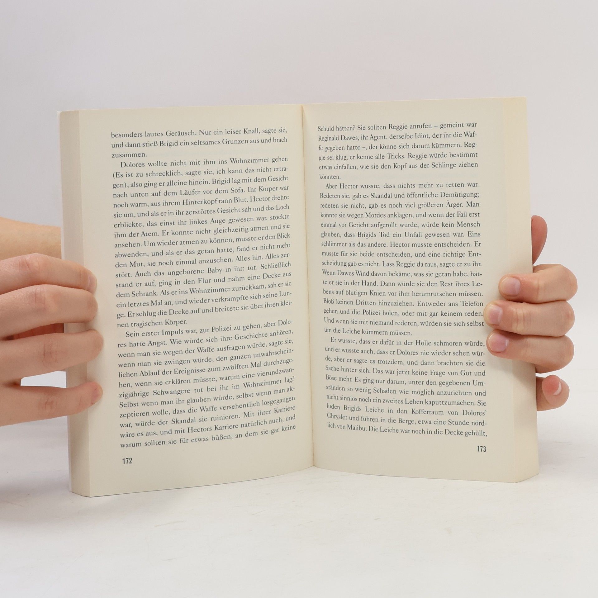 Paul Auster Das Buch der Illusionen