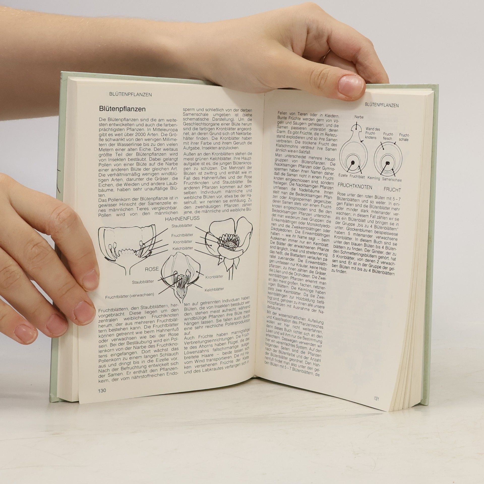 Marcus Würmli Handbuch Natur