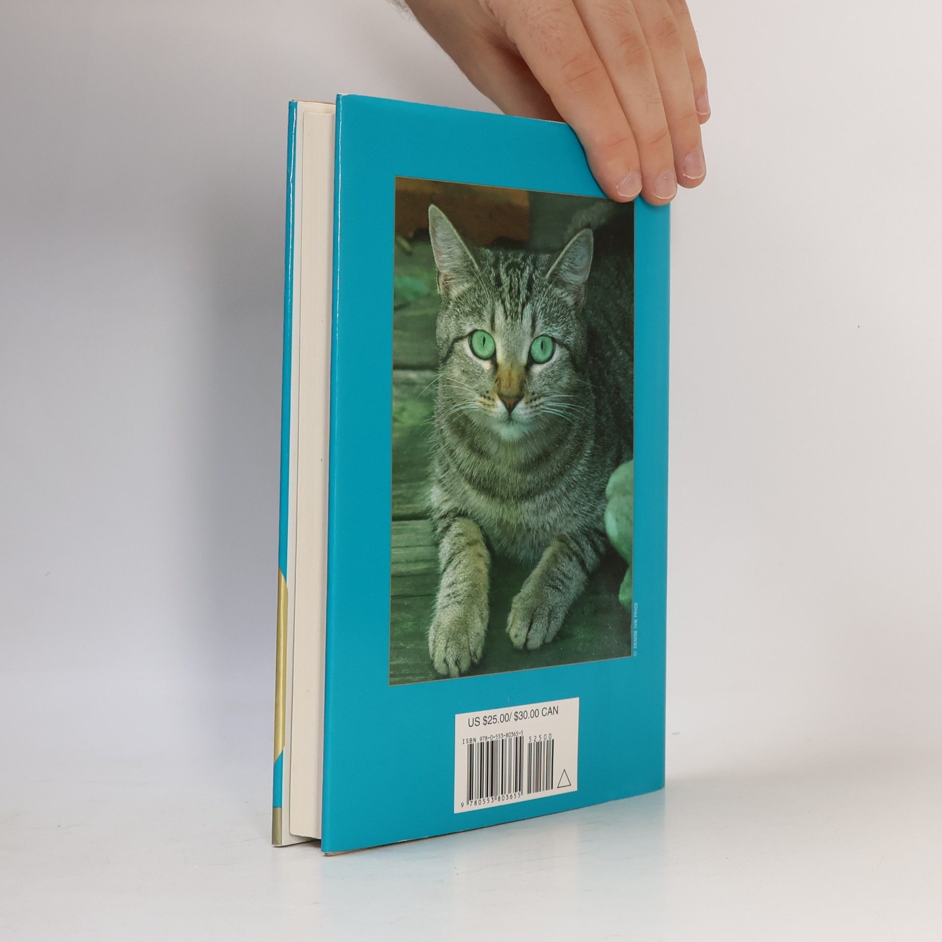 Rita Mae Brown Mrs. Murphy Mysteries: The Purrfect Murder