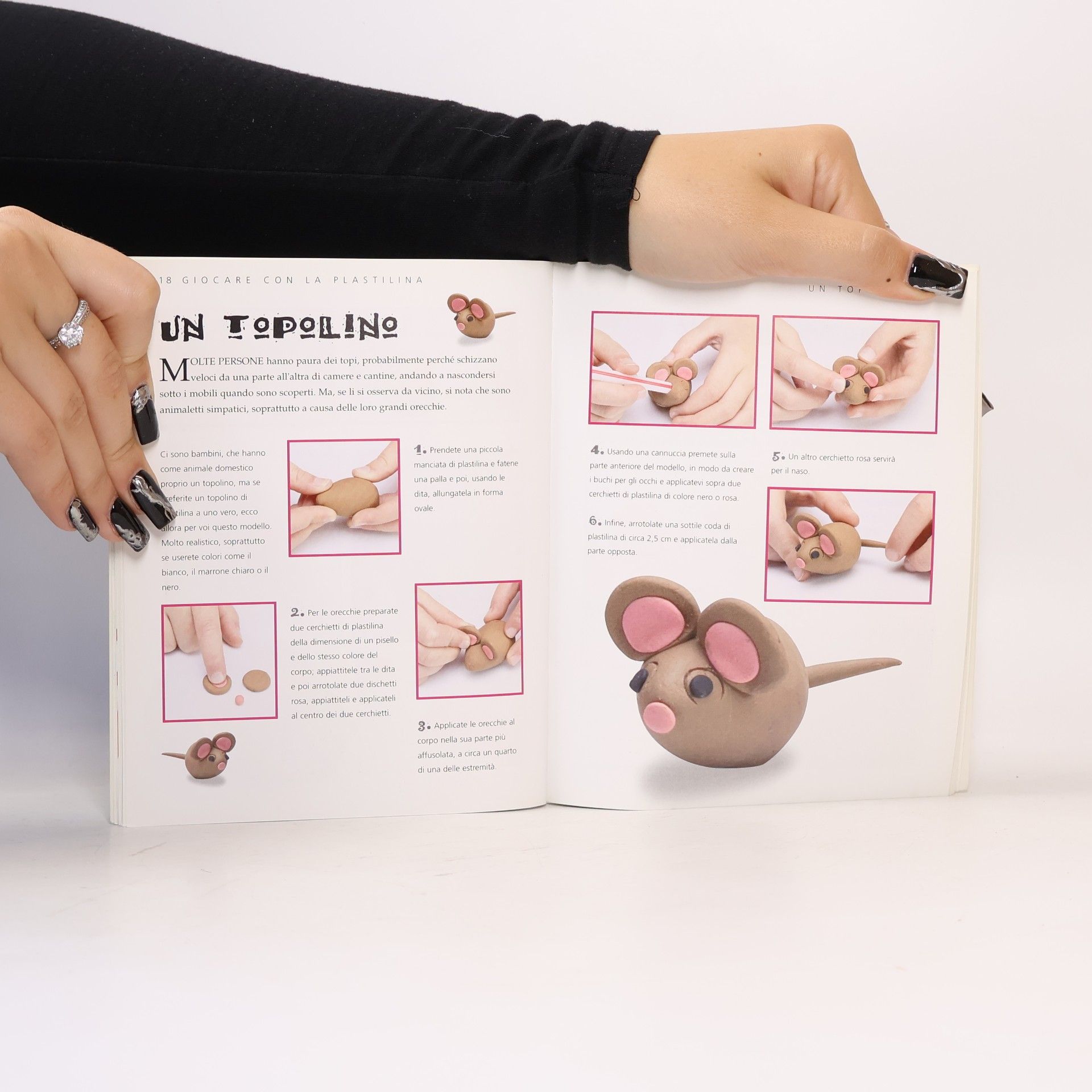 Giocare con la plastilina. Istruzioni e materiali per realizzare splendidi modelli