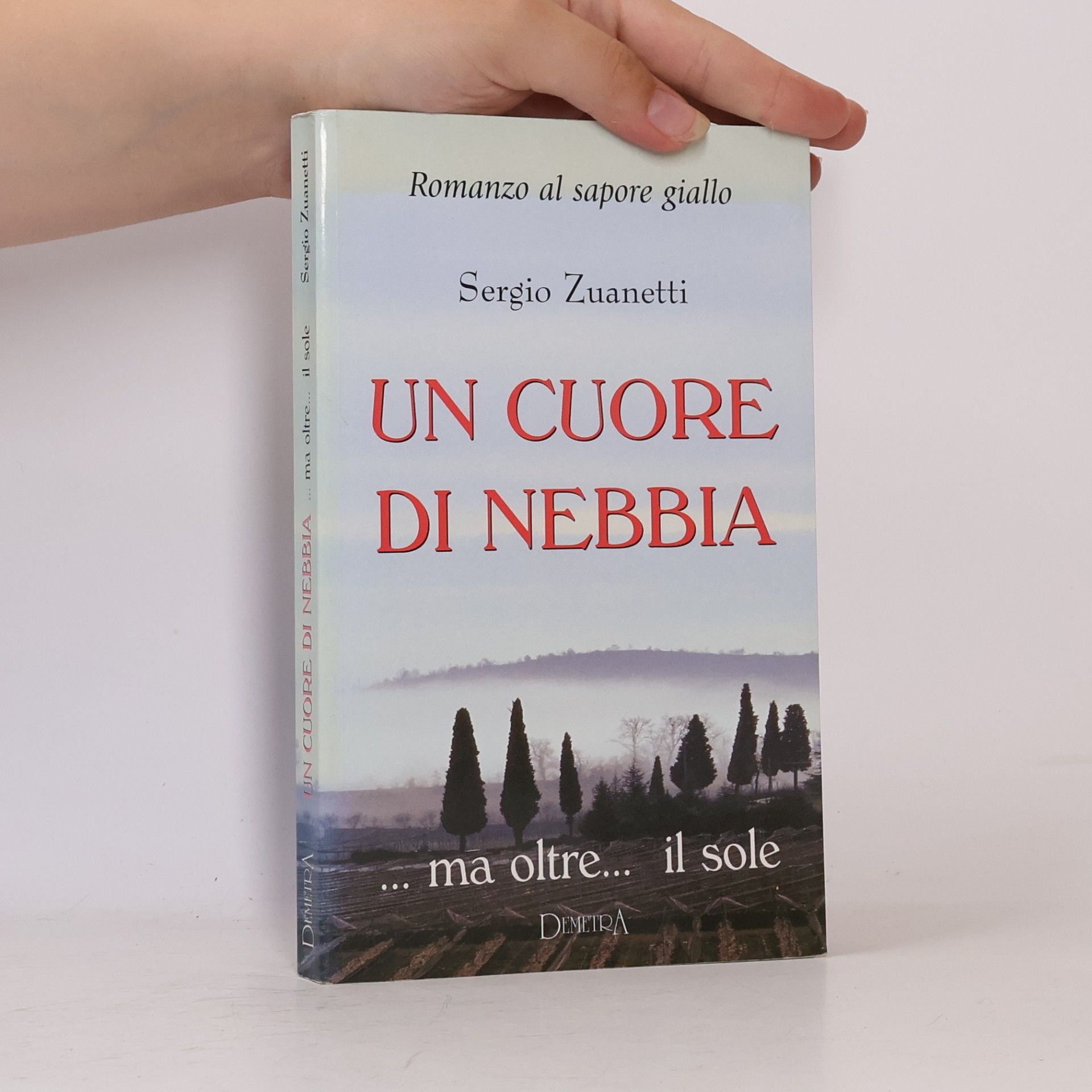 Un cuore di nebbia