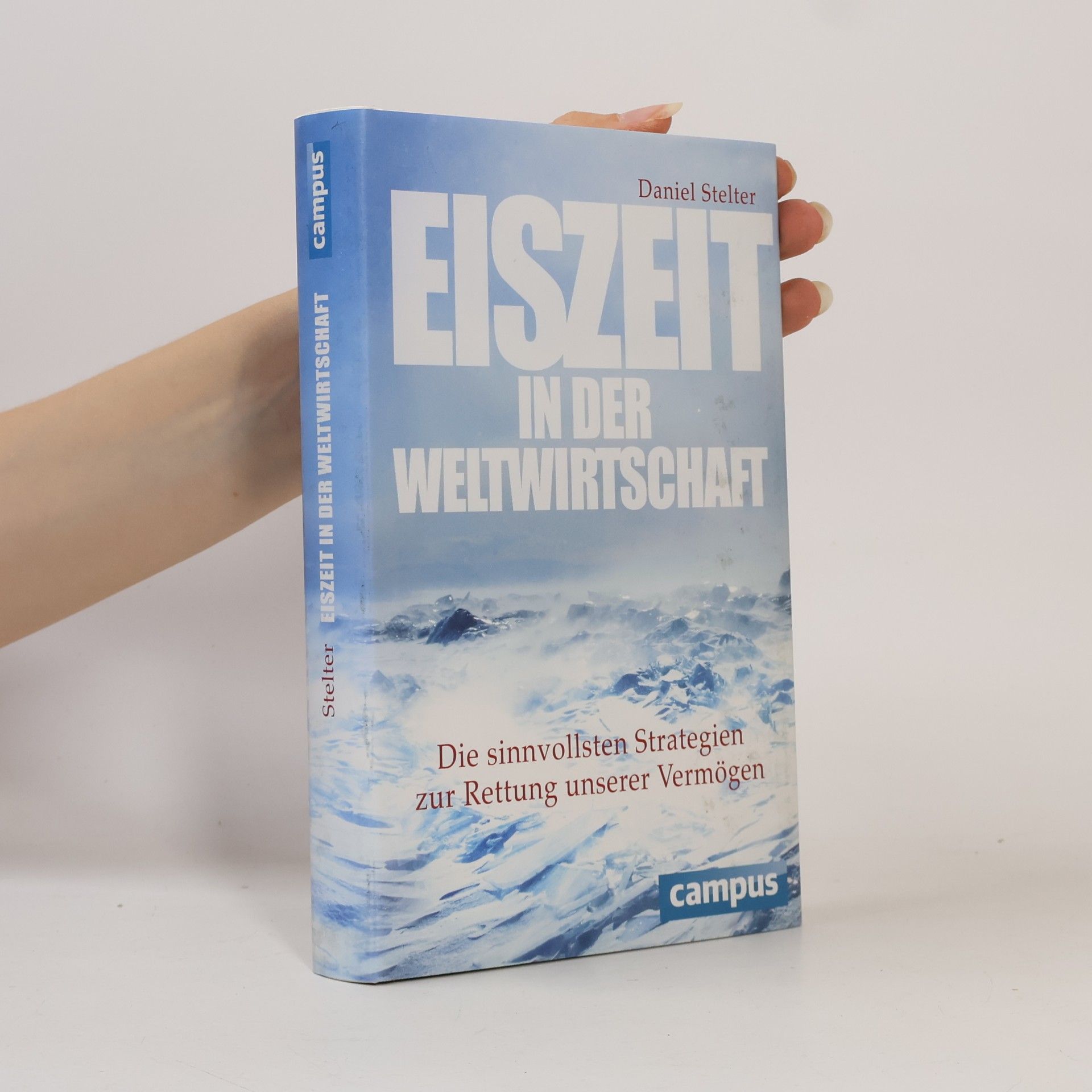 Daniel Stelter Eiszeit in der Weltwirtschaft