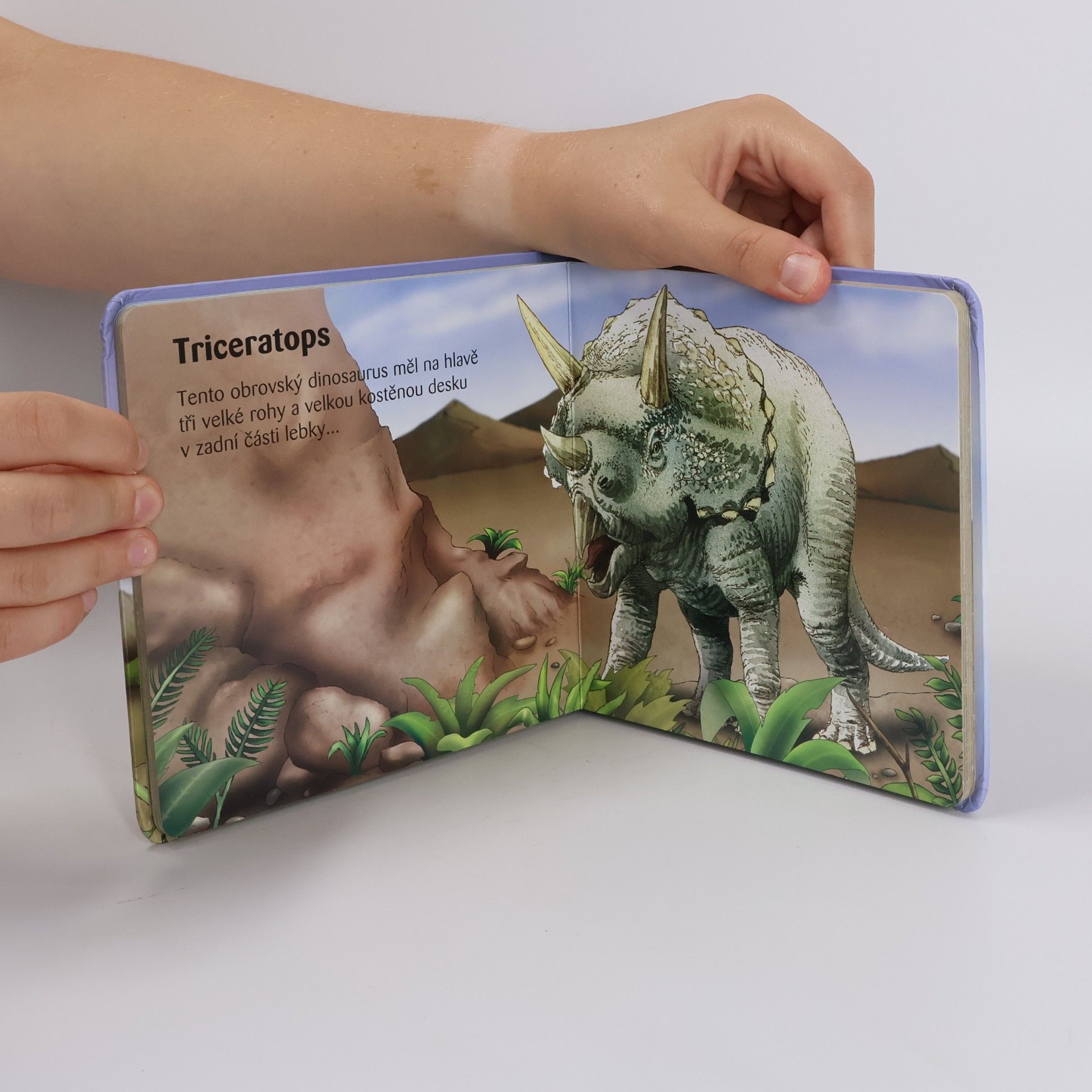Tomáš Novotný Moje malá knížka o dinosaurech