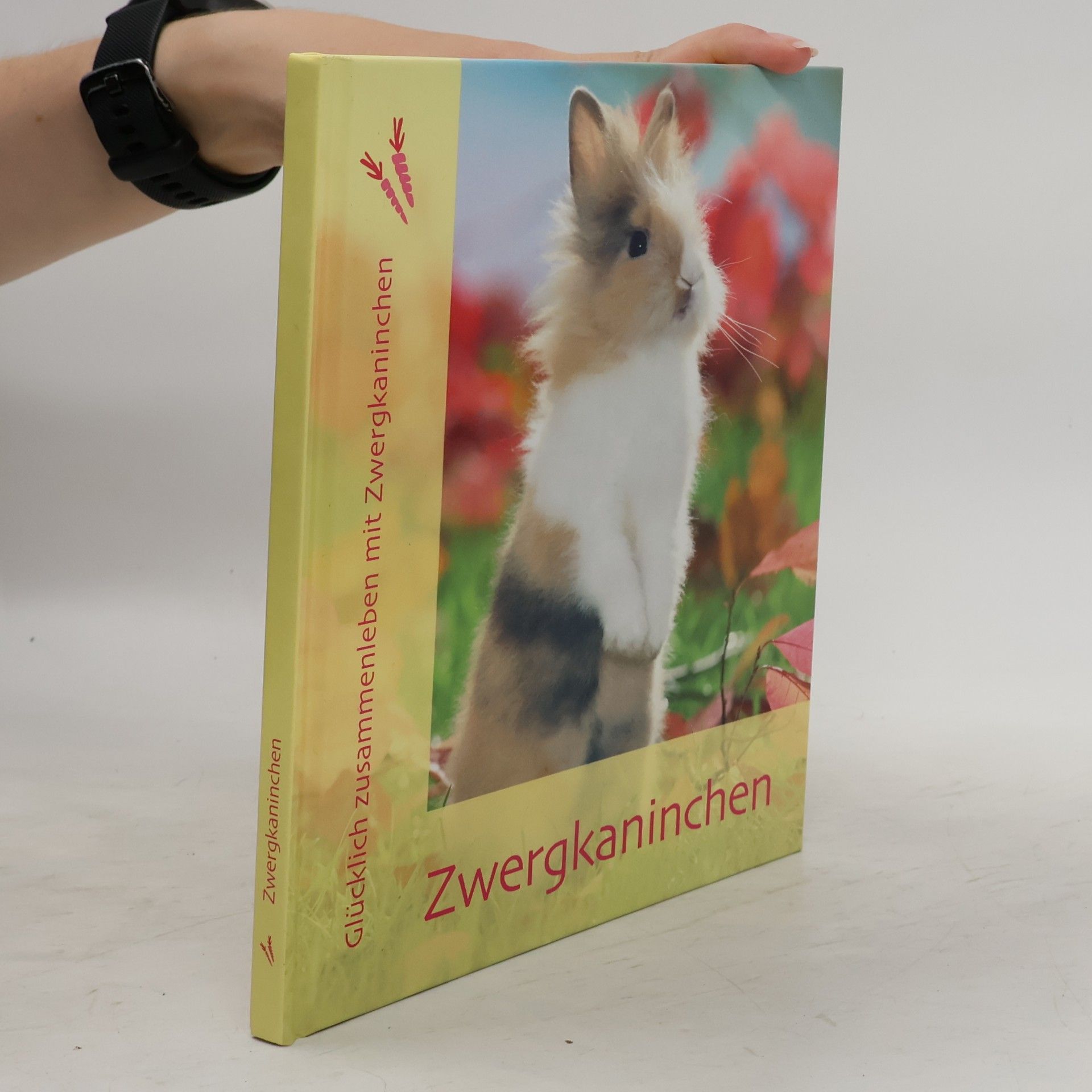 Zwergkaninchen