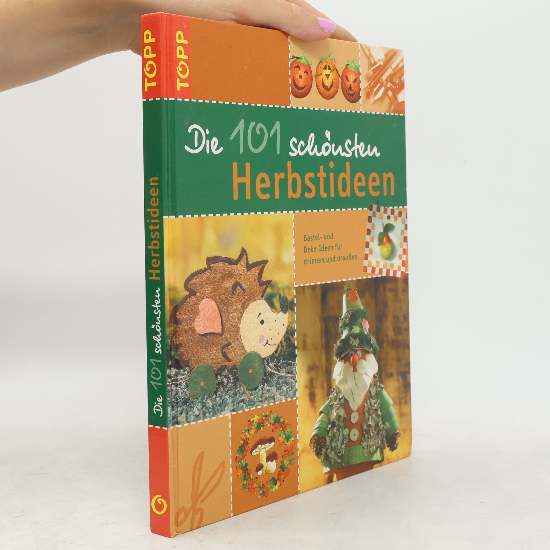 Monika Berger Die 101 schönsten Herbstideen