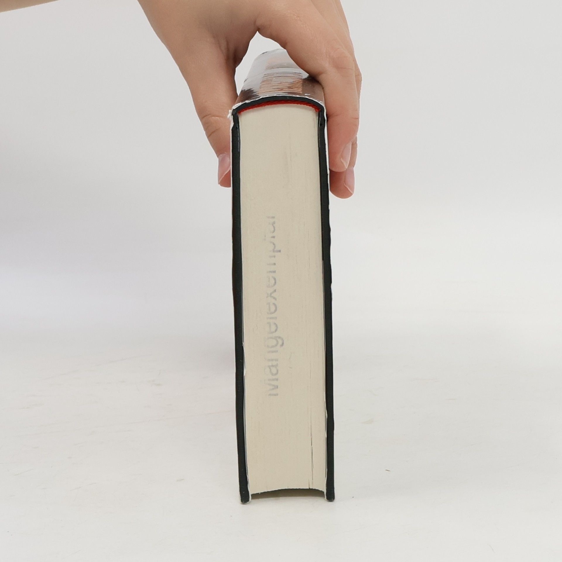 E. L. Doctorow Das Wasserwerk