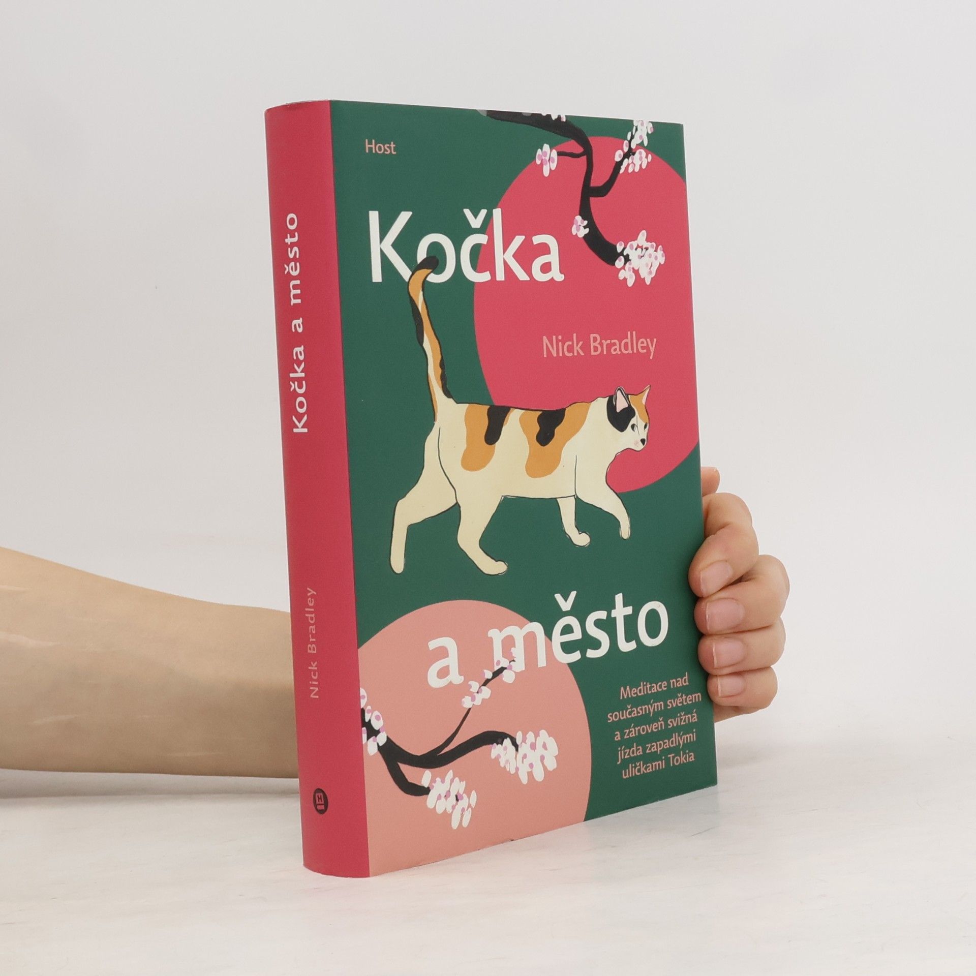 Nick Bradley Kočka a město