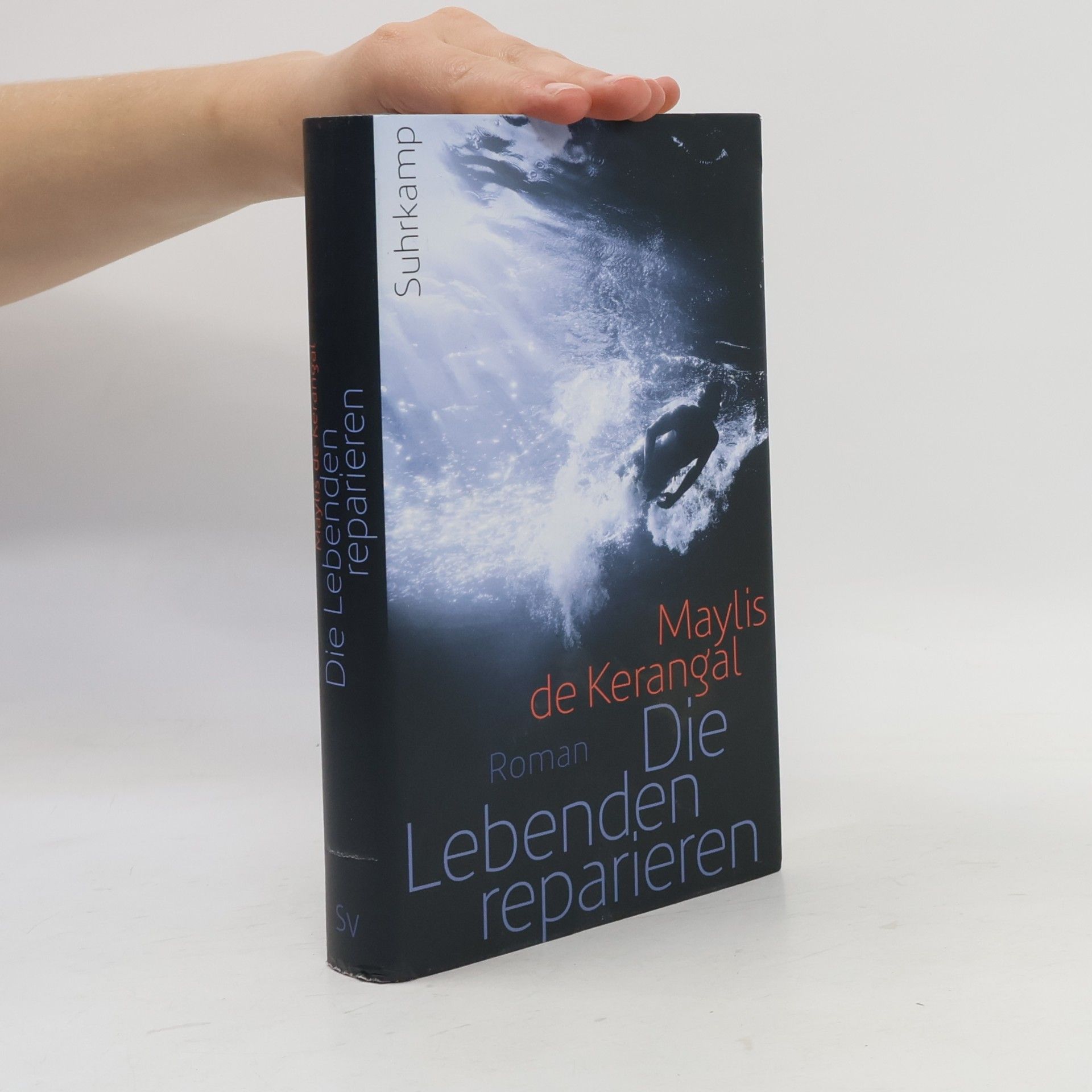 Maylis de Kerangal Die Lebenden reparieren