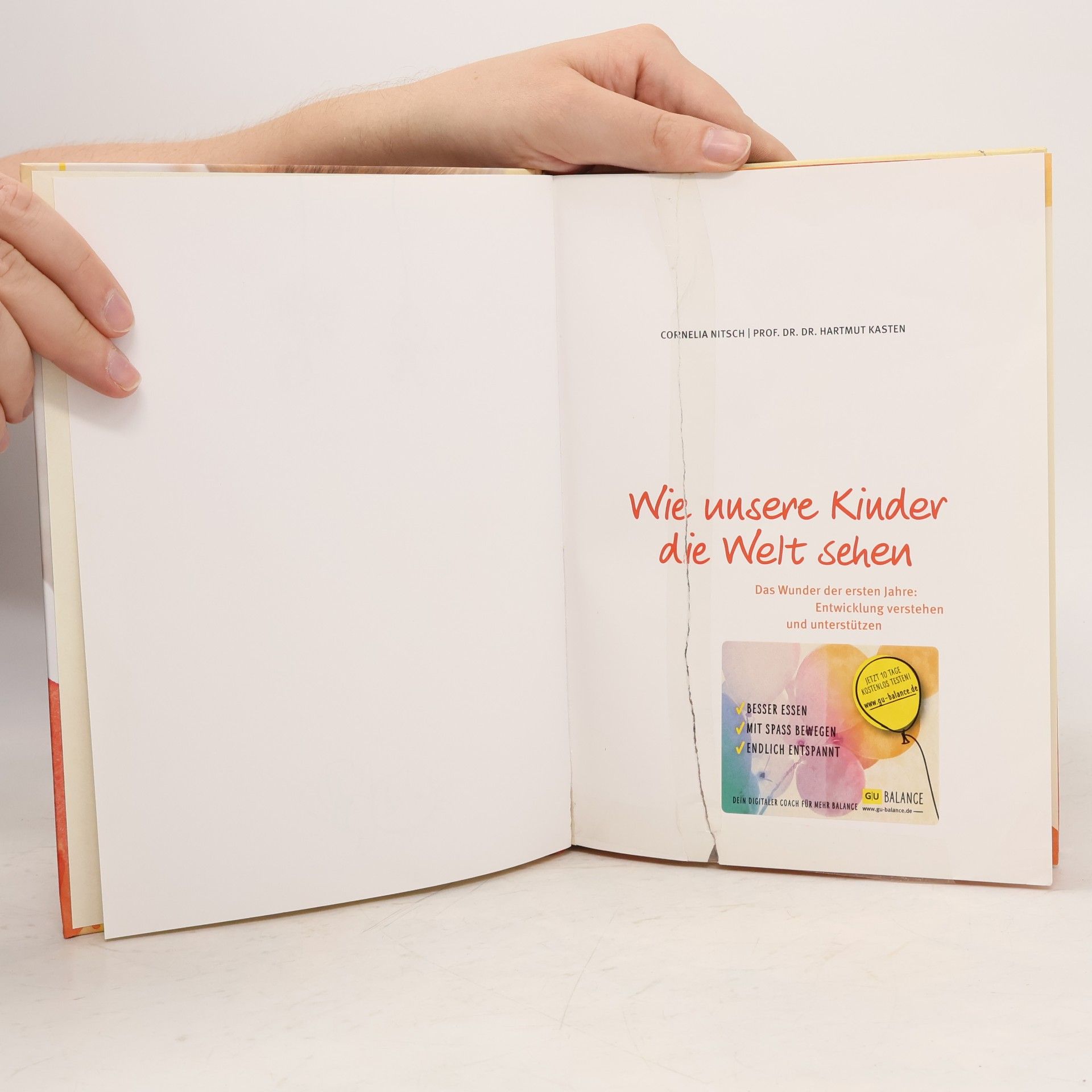 Cornelia Nitsch Wie unsere Kinder die Welt sehen: Das Wunder der ersten Jahre: Entwicklung verstehen und unterstützen