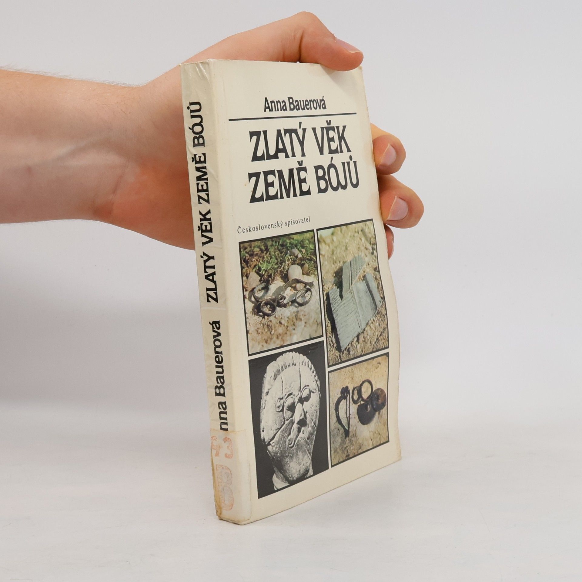 Anna Bauer Zlatý věk země Bójů