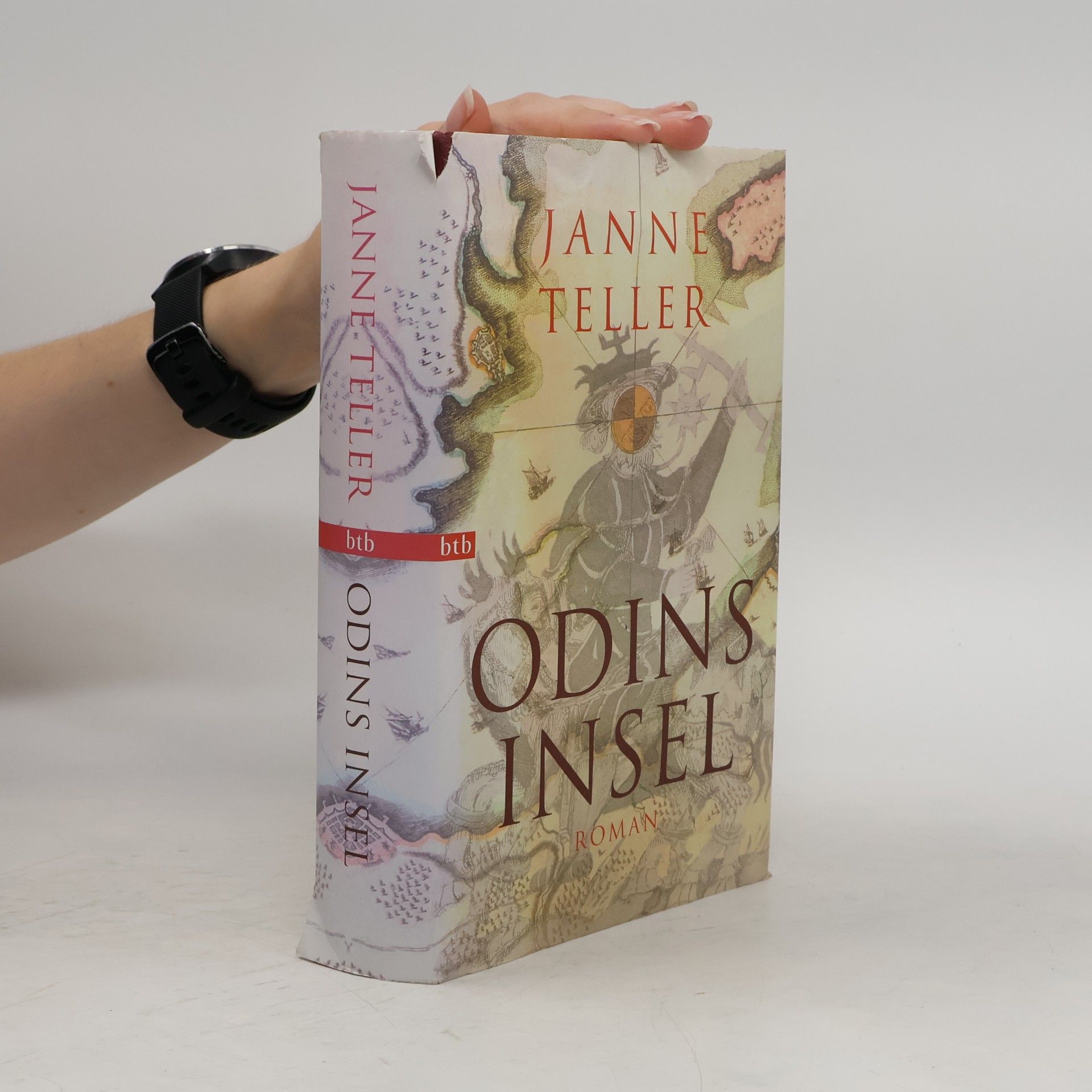 Janne Teller Odins Insel